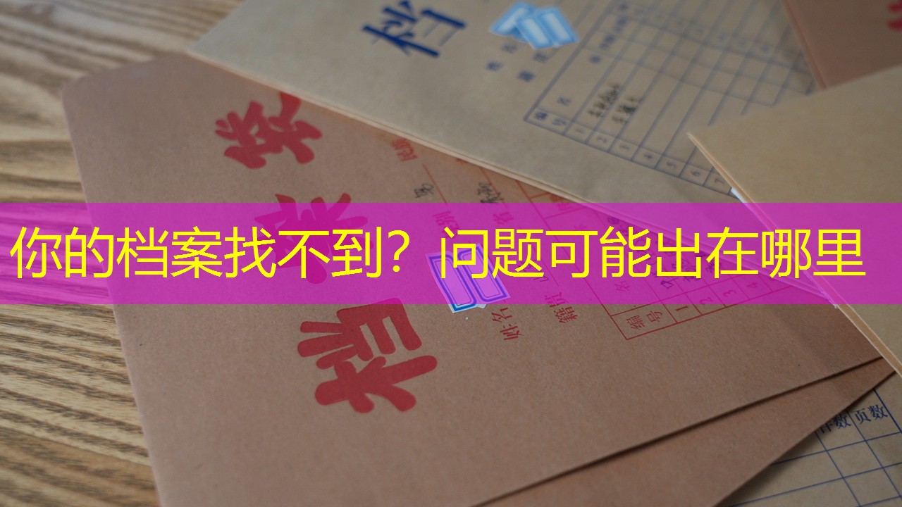 档案查询