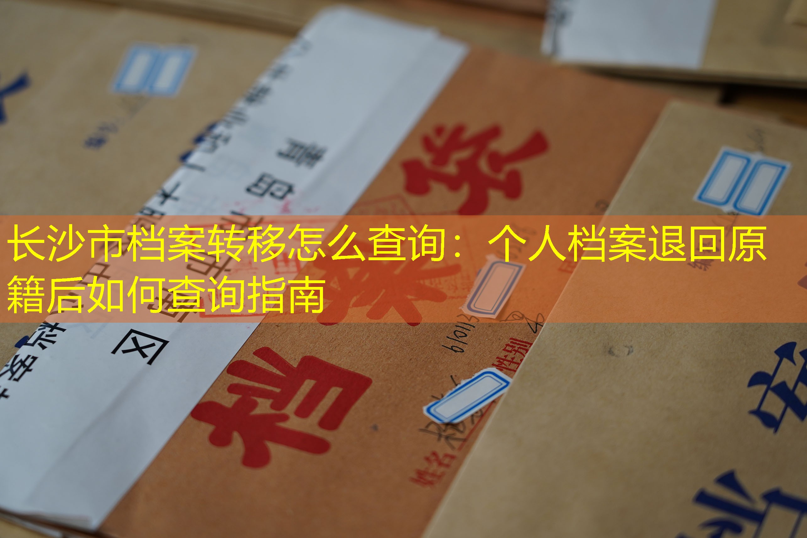 档案查询
