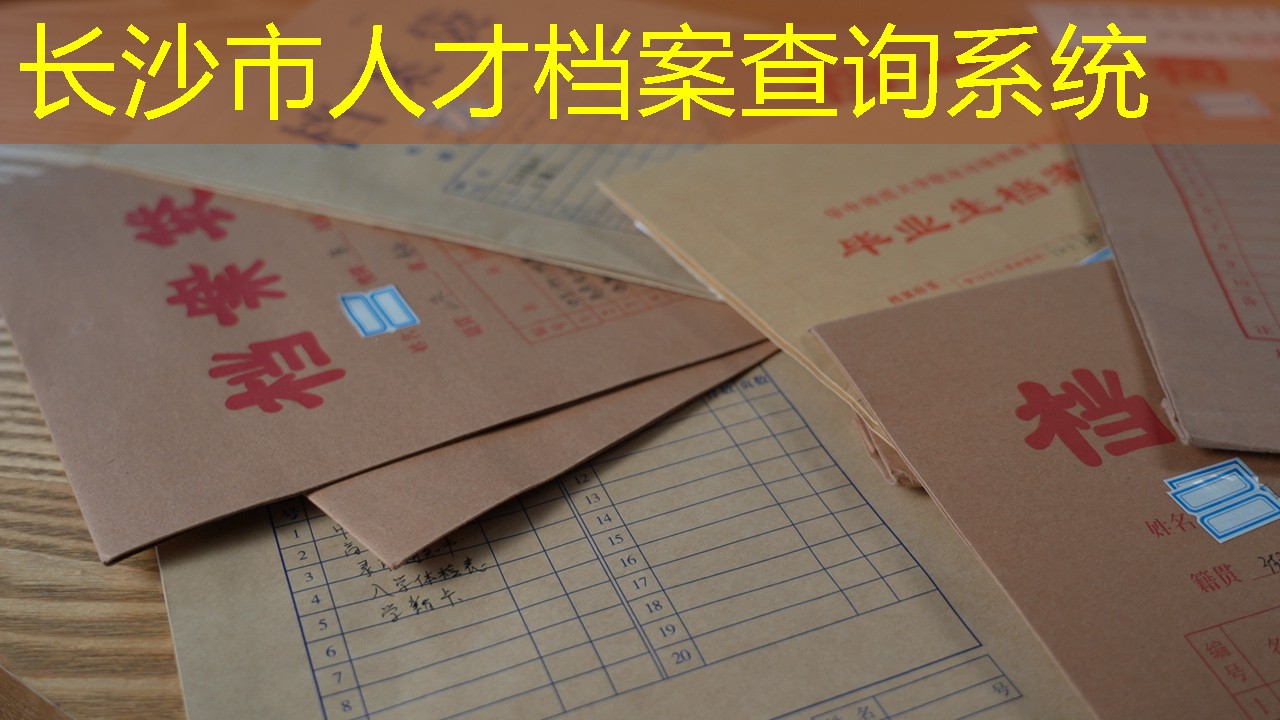 档案查询