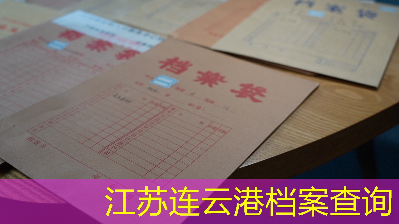 档案查询