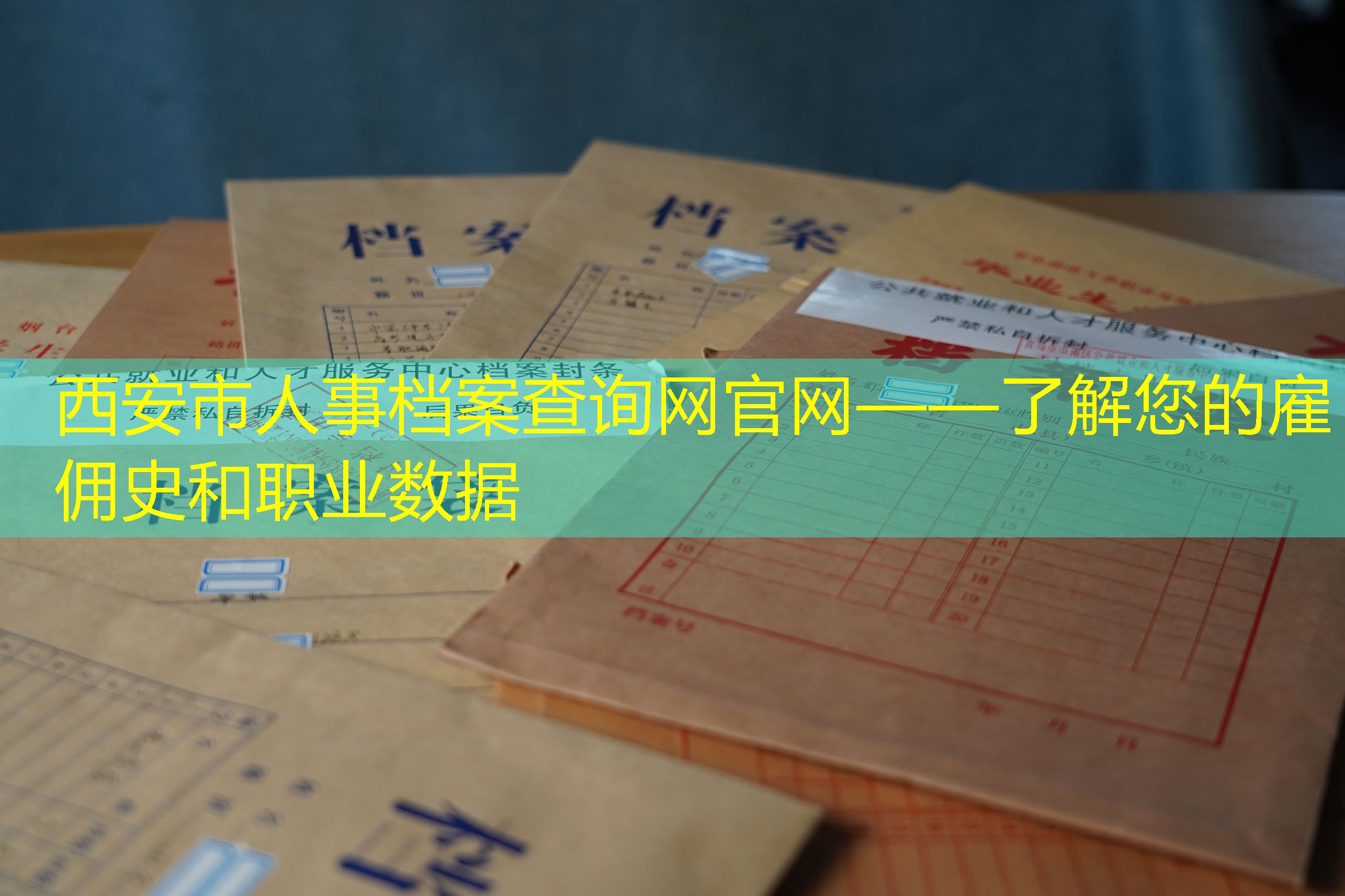 档案查询