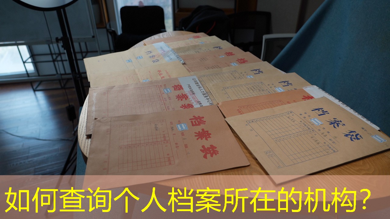 档案查询