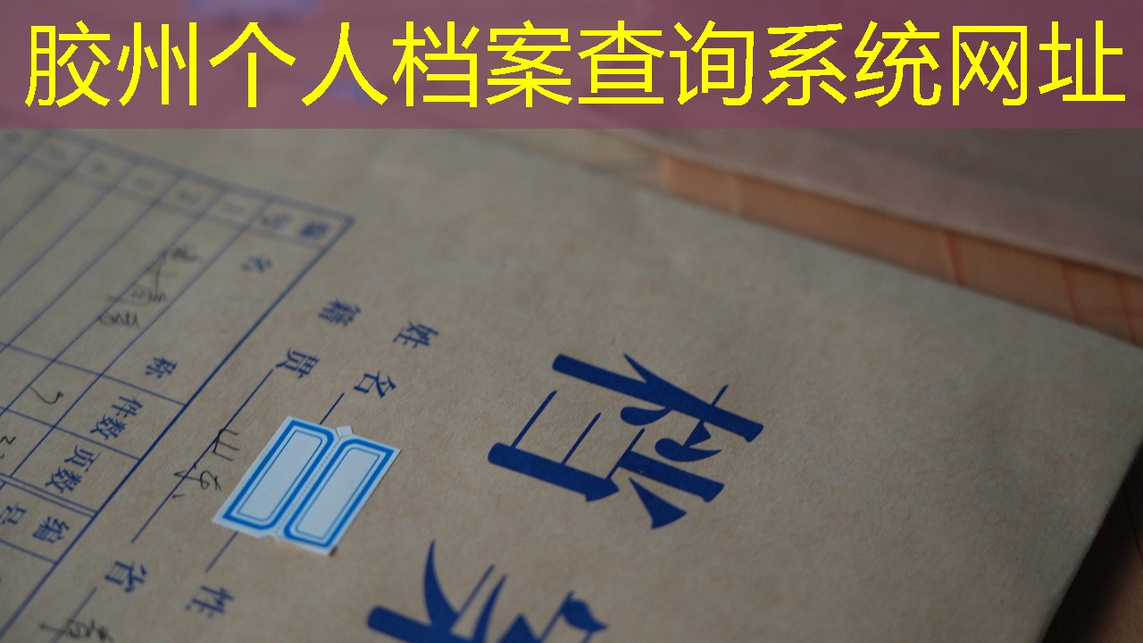 档案查询