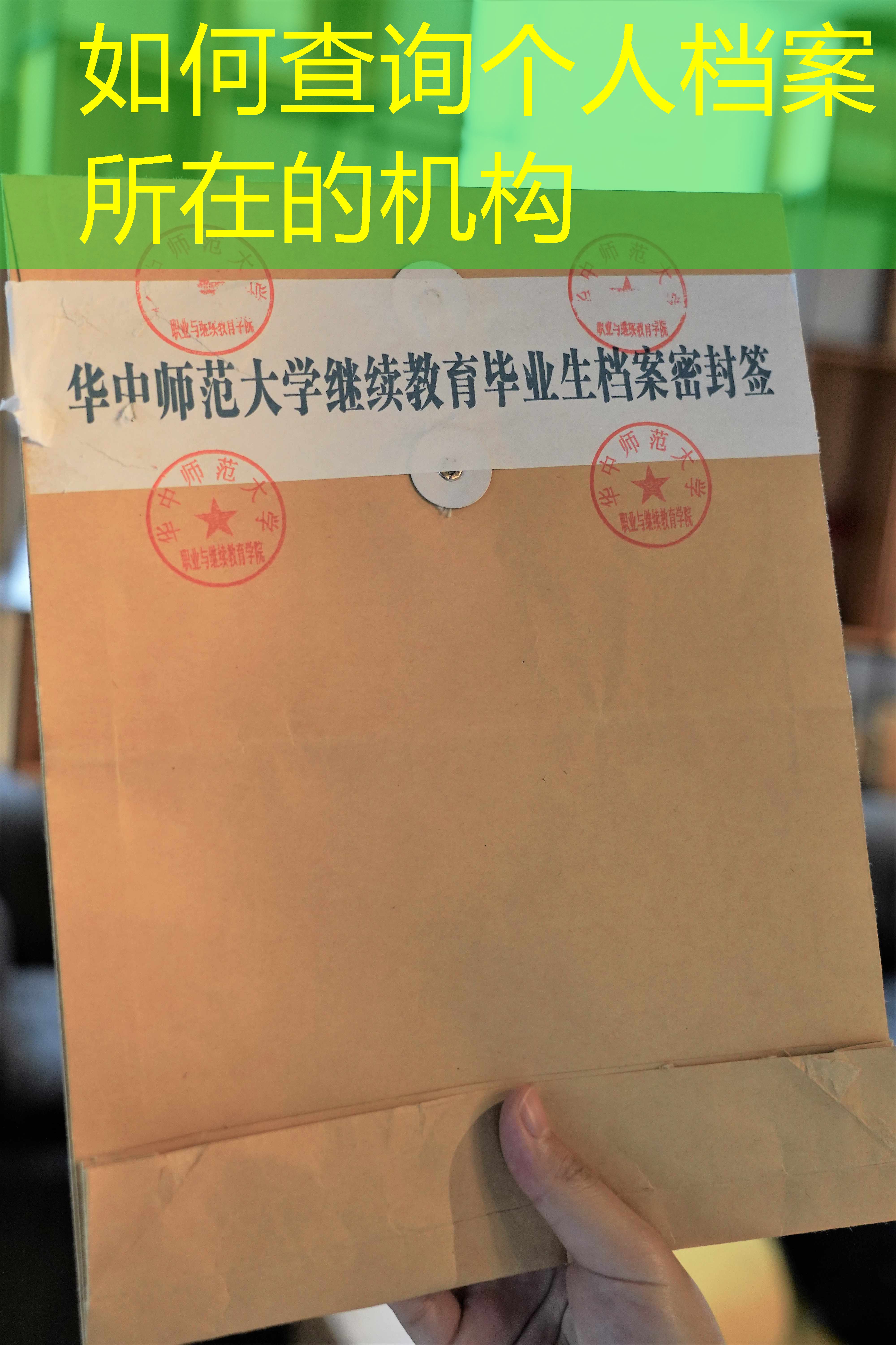档案查询