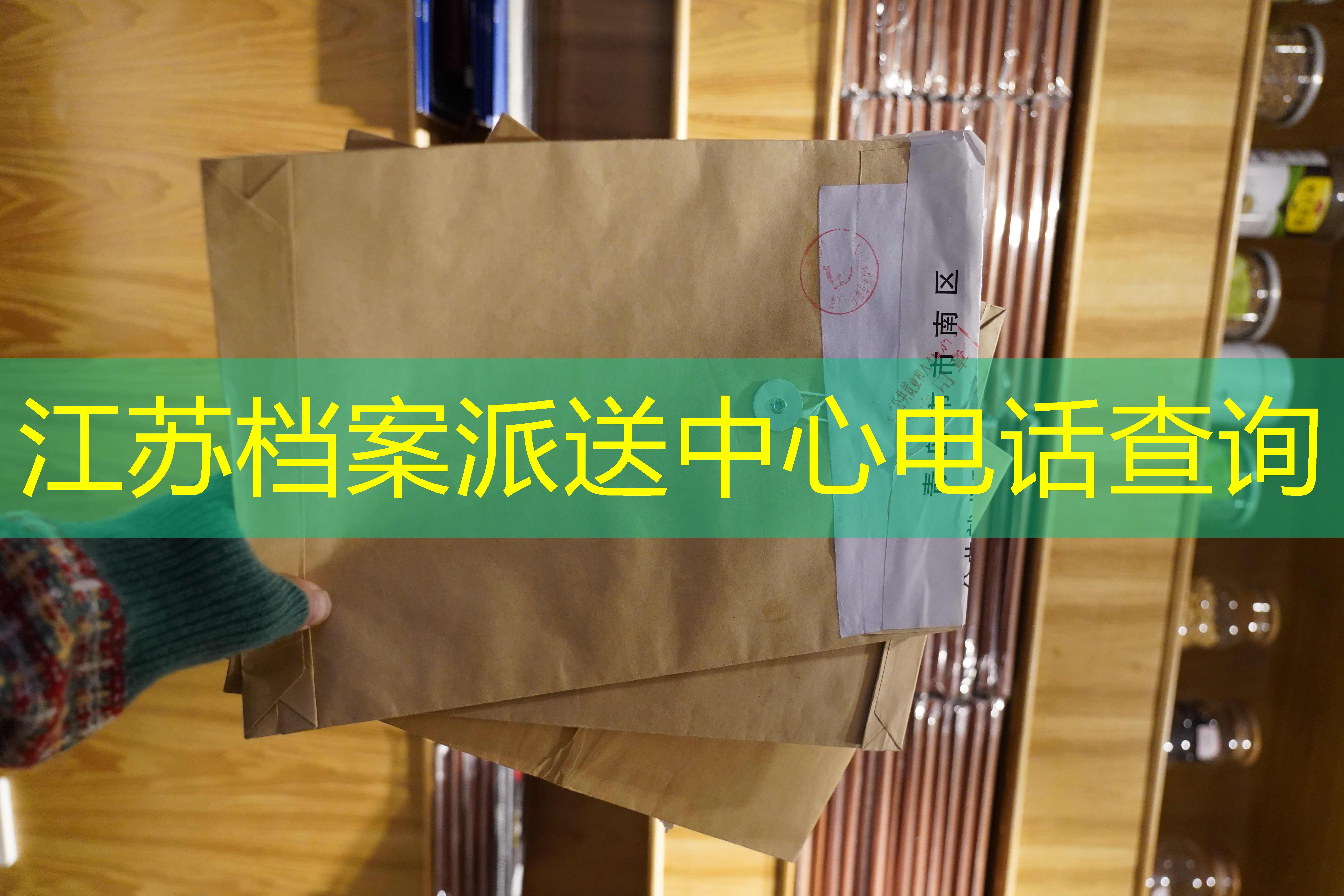 档案查询