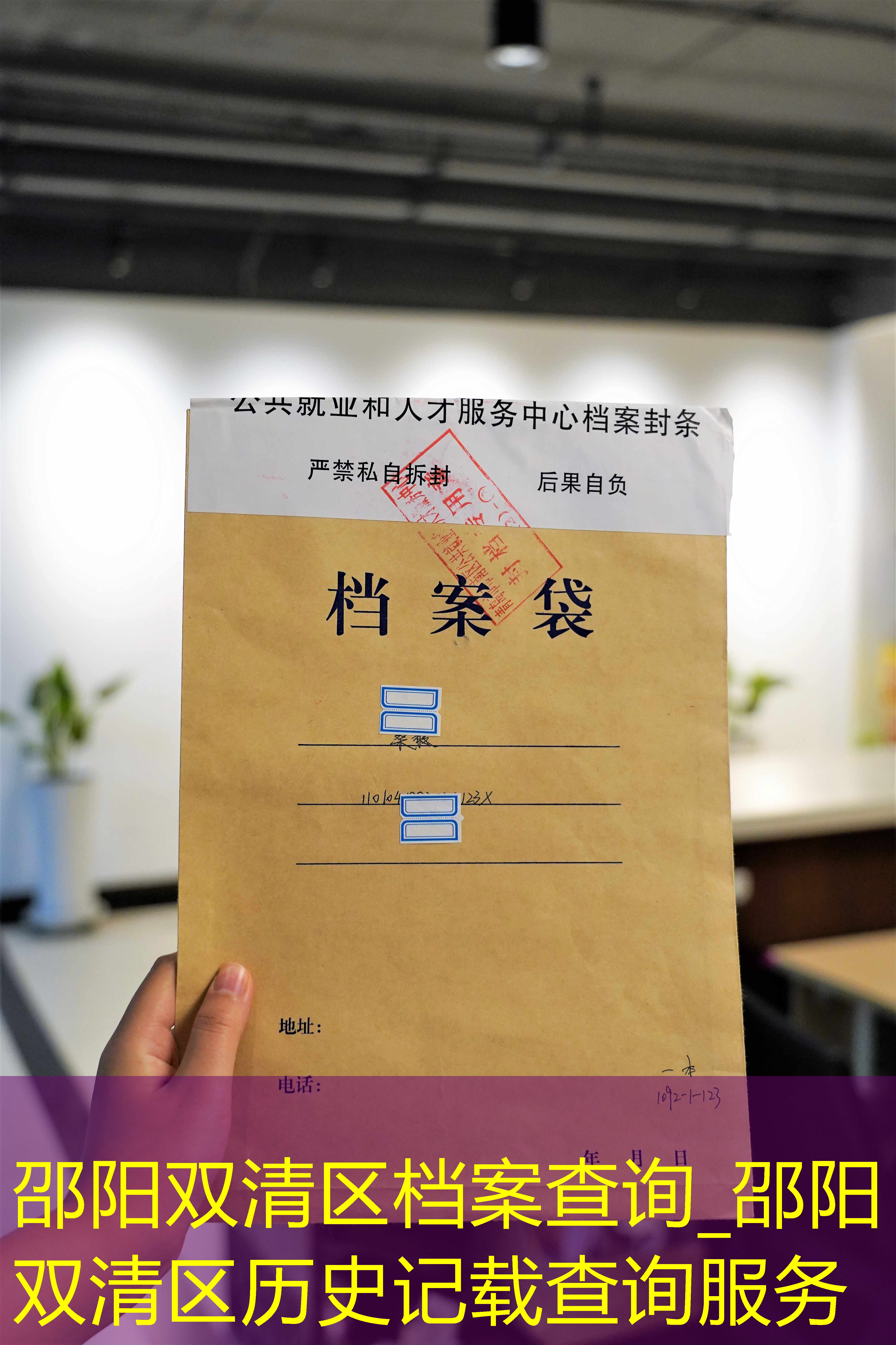 档案查询