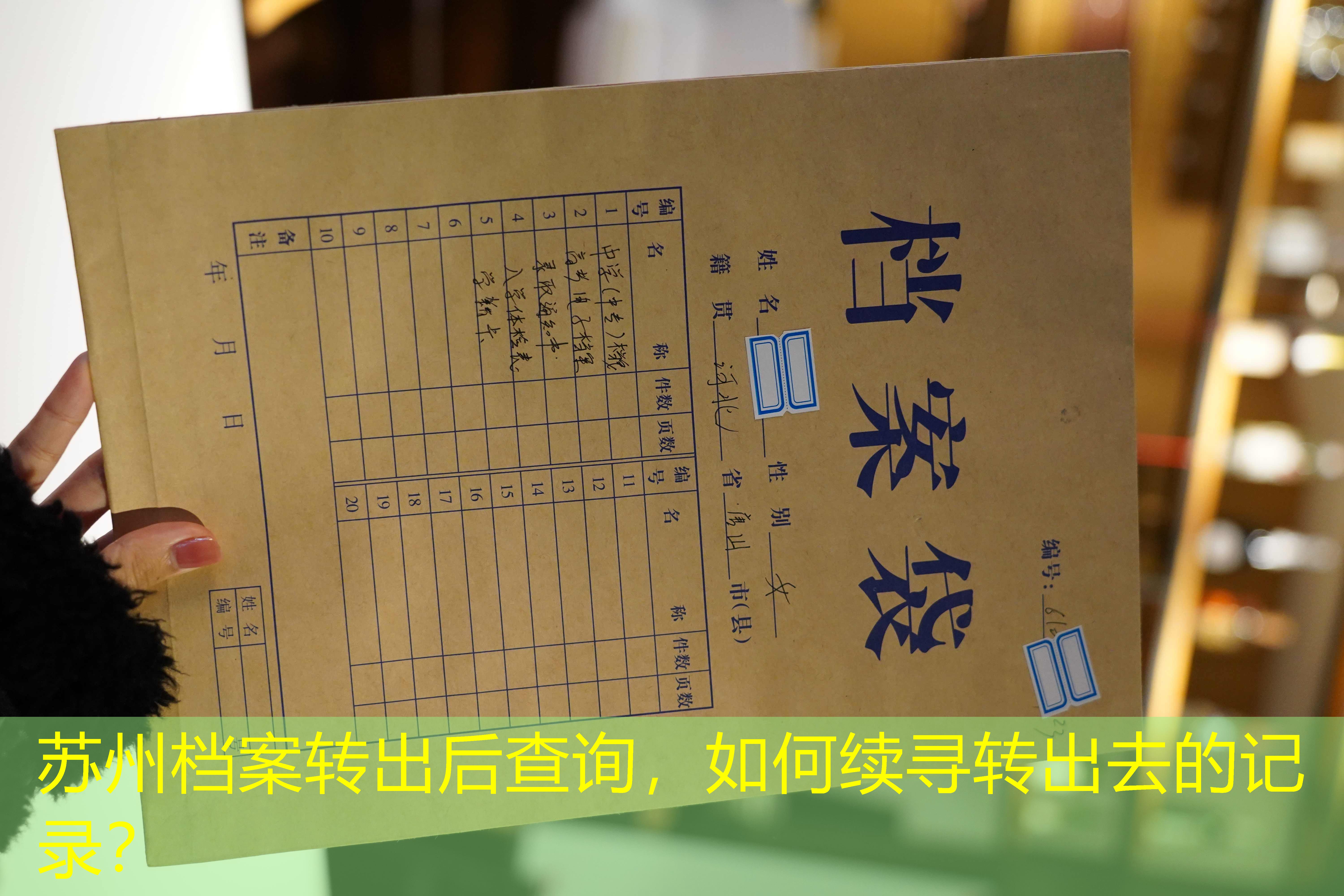 档案查询