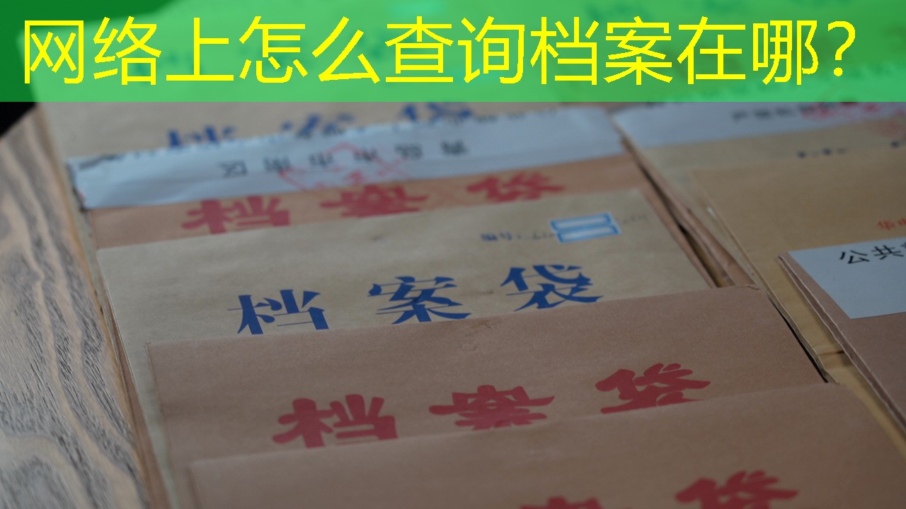 档案查询