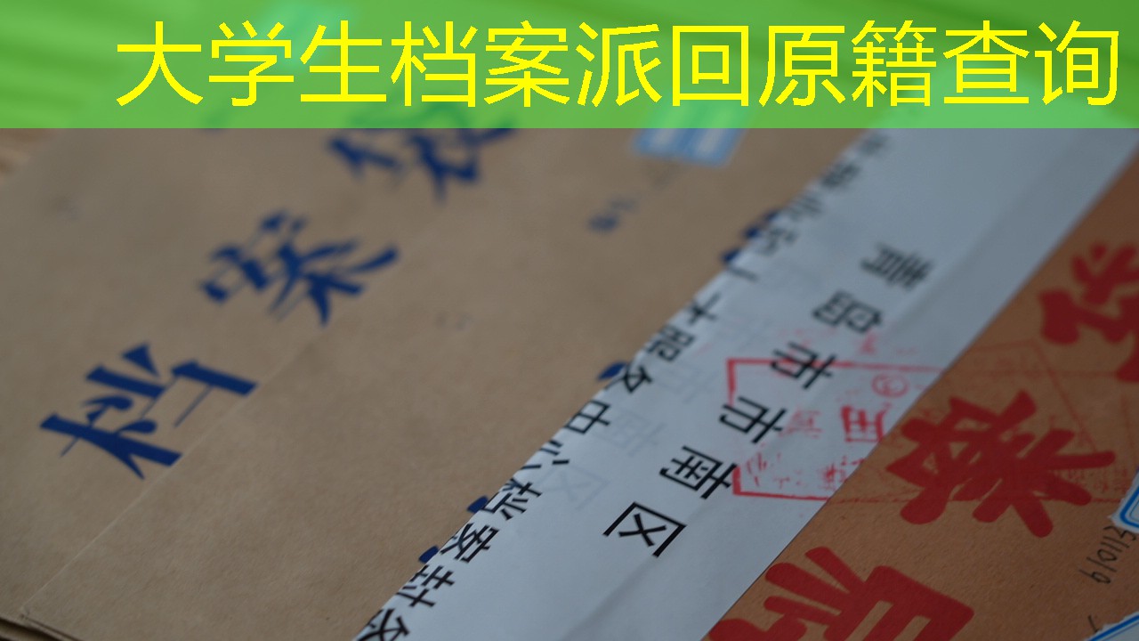 档案查询