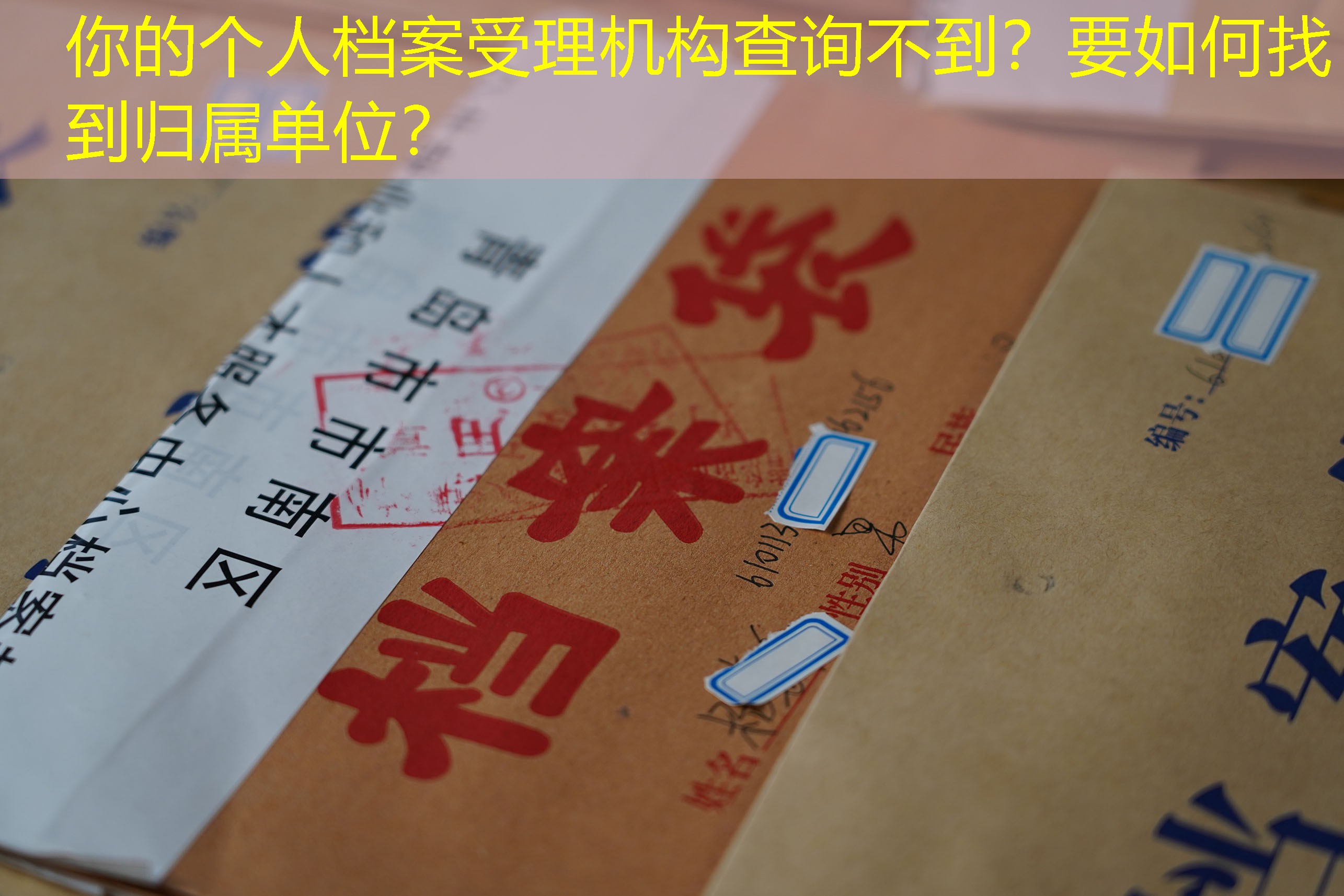 档案查询