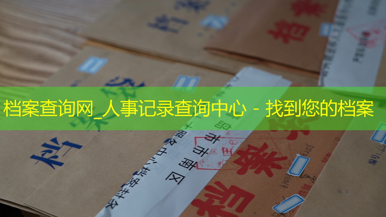 档案查询