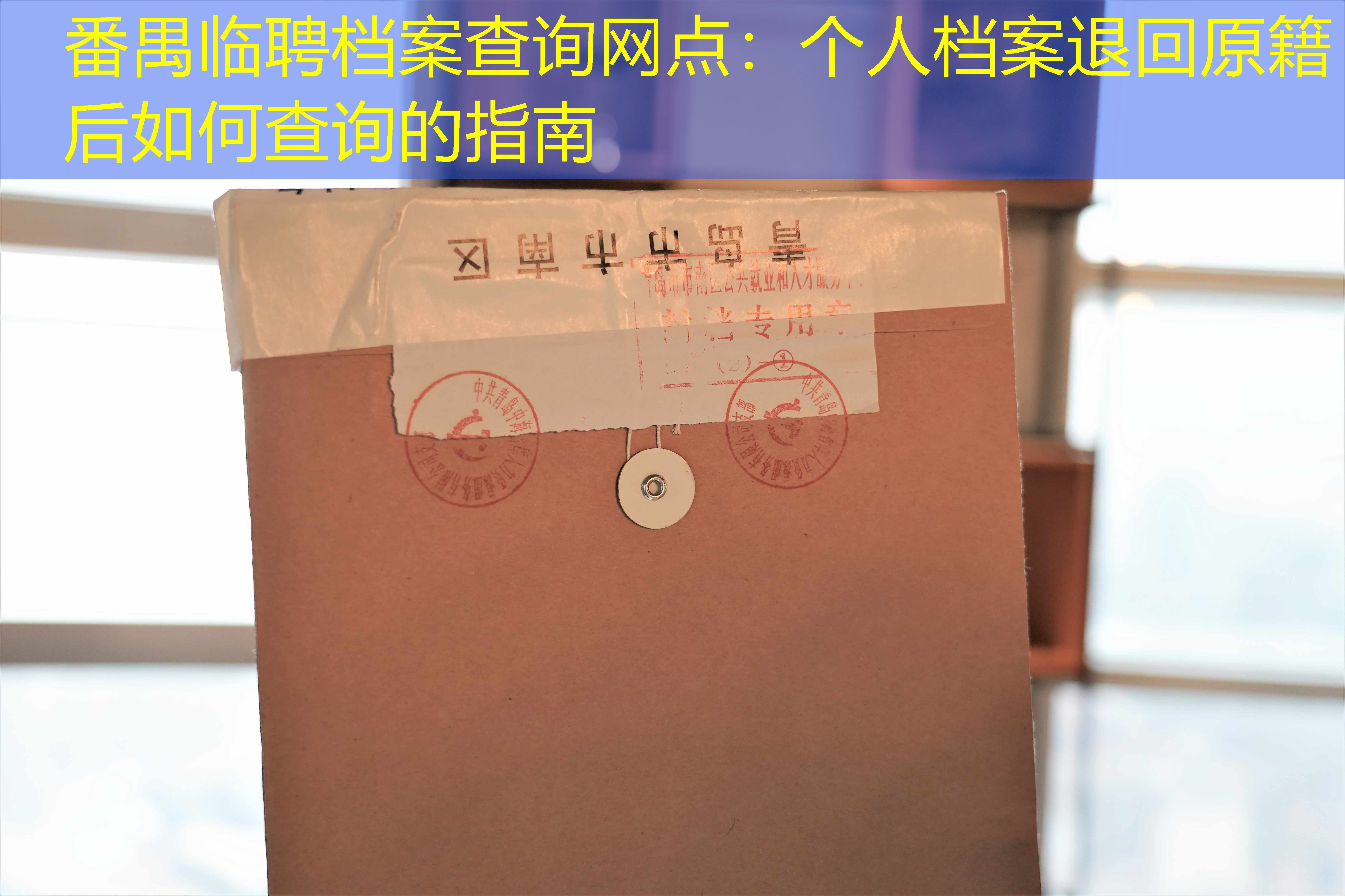 档案查询