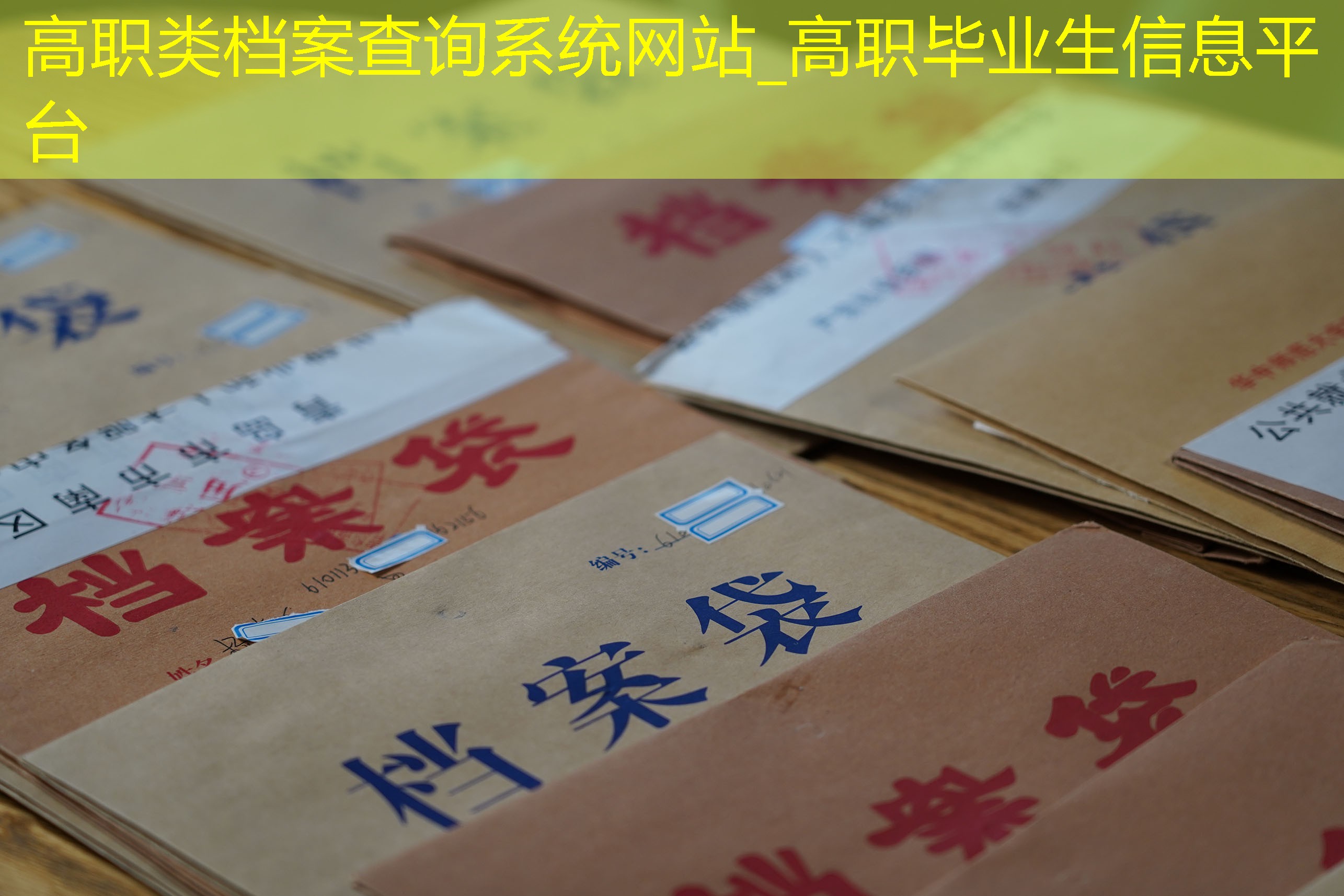 档案查询