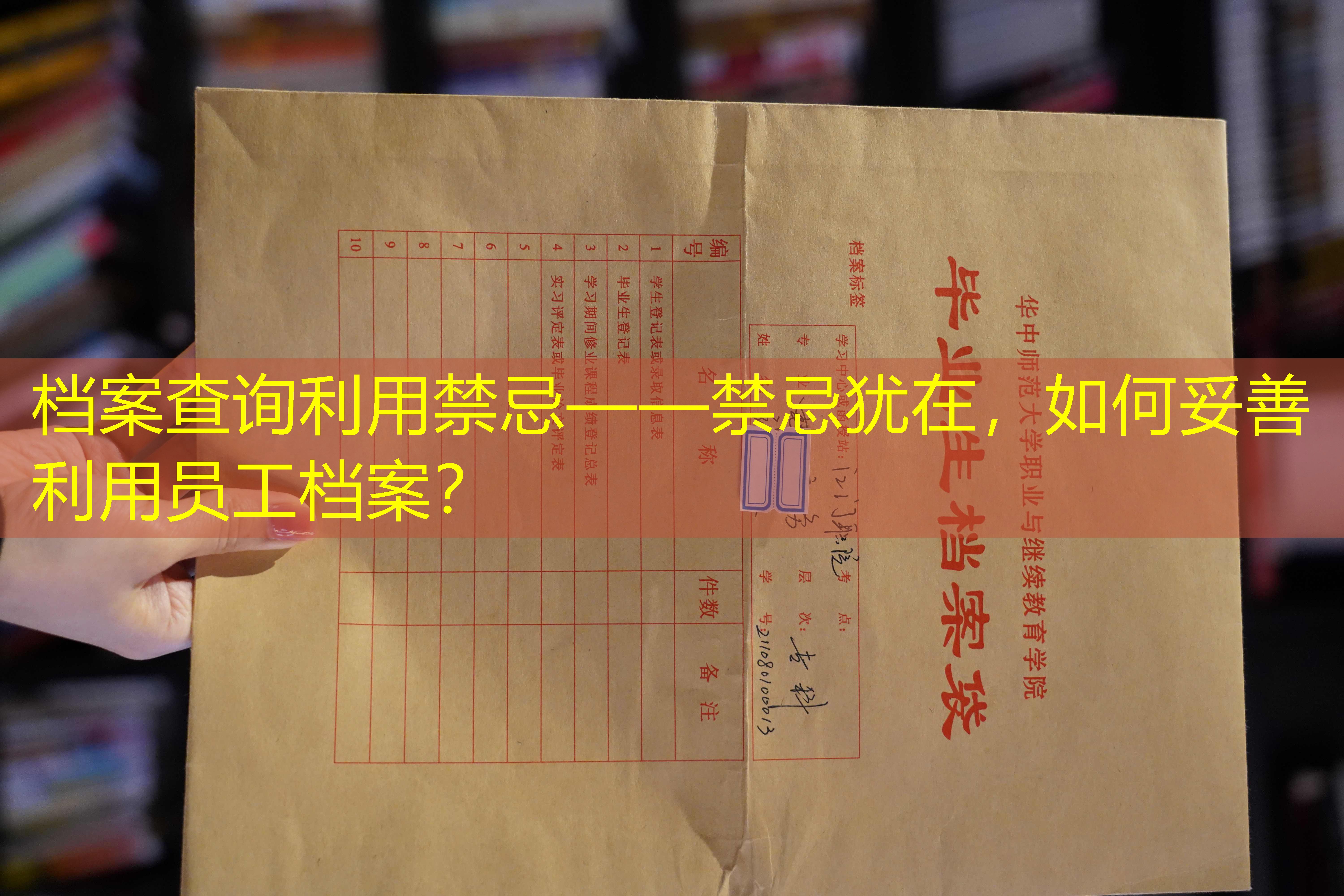 档案查询
