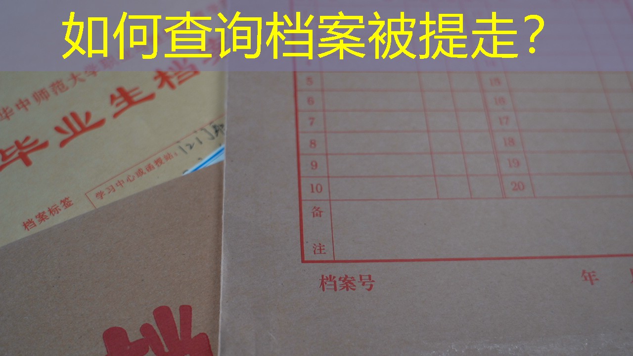 档案查询