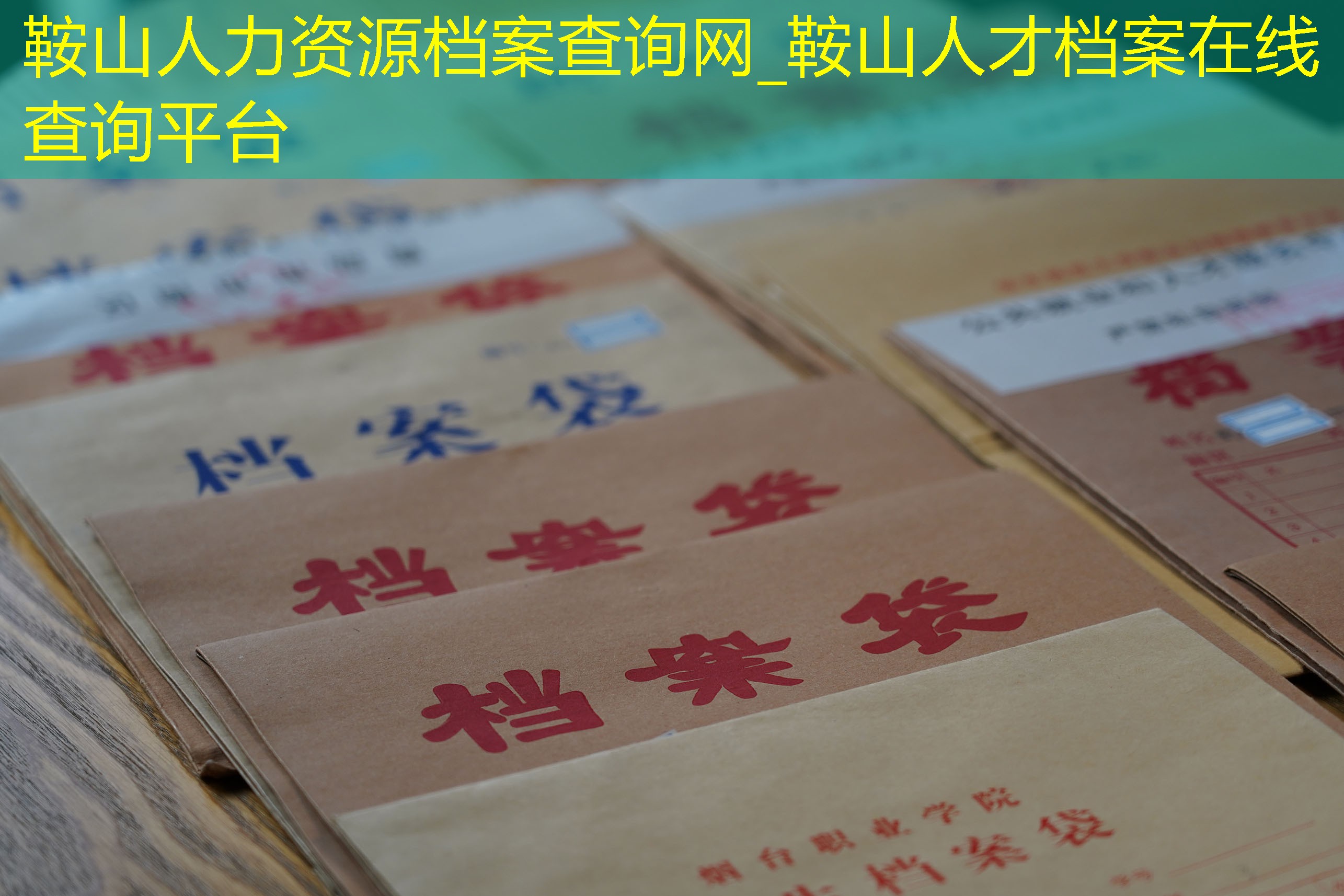 档案查询