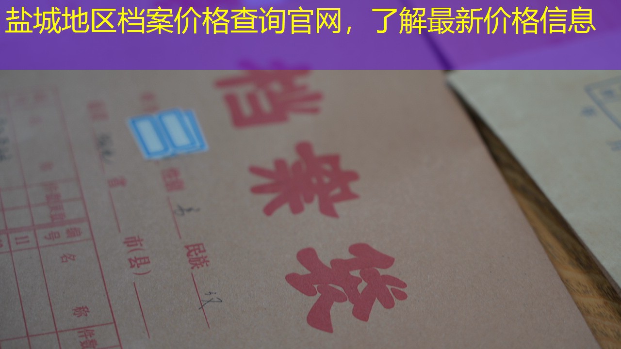 档案查询