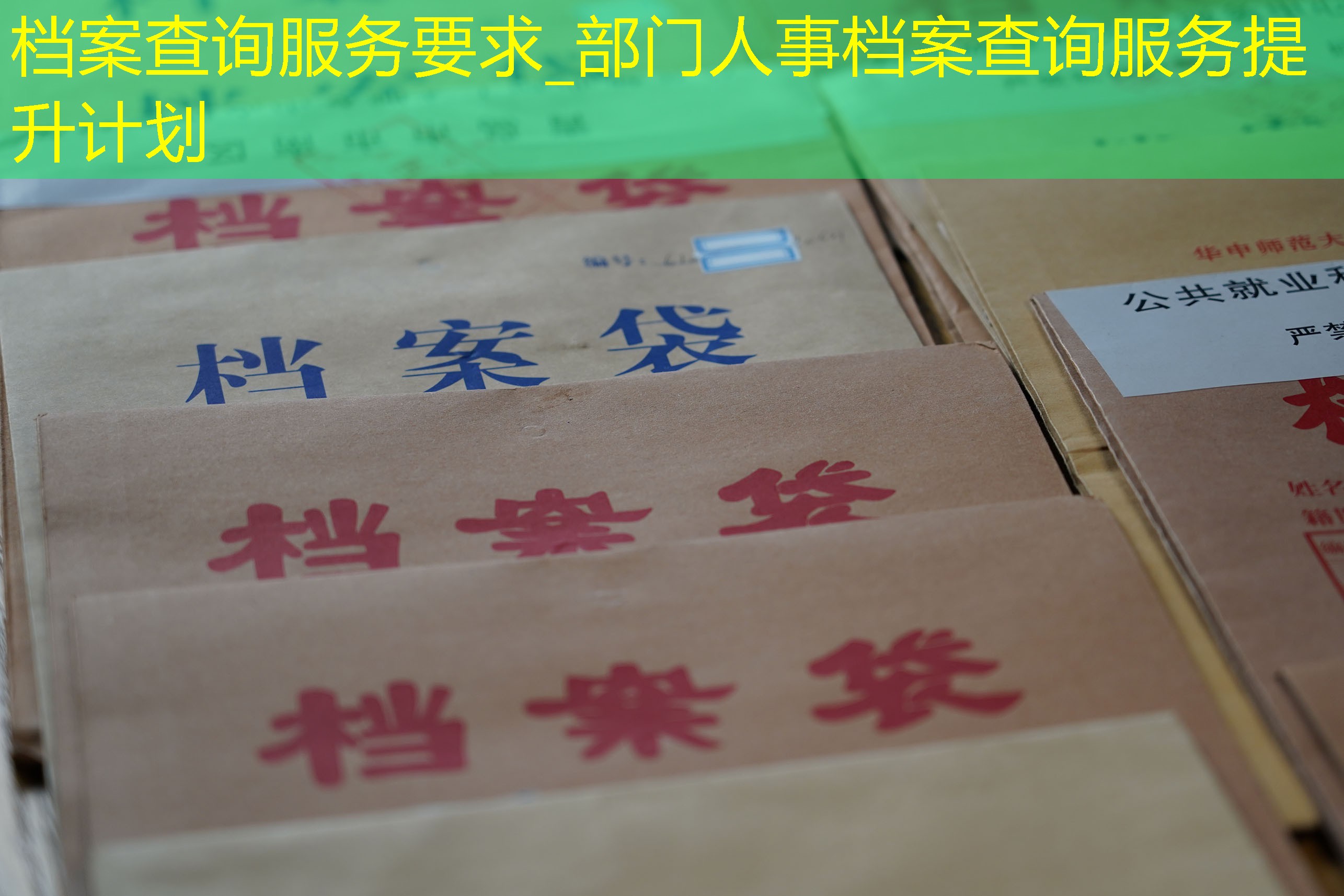 档案查询