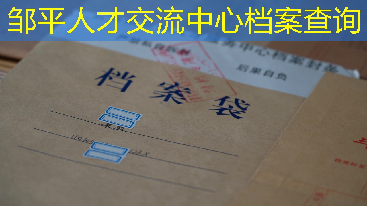 档案查询