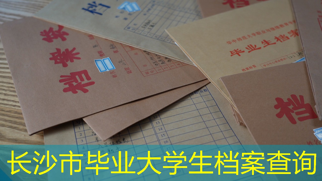 档案查询