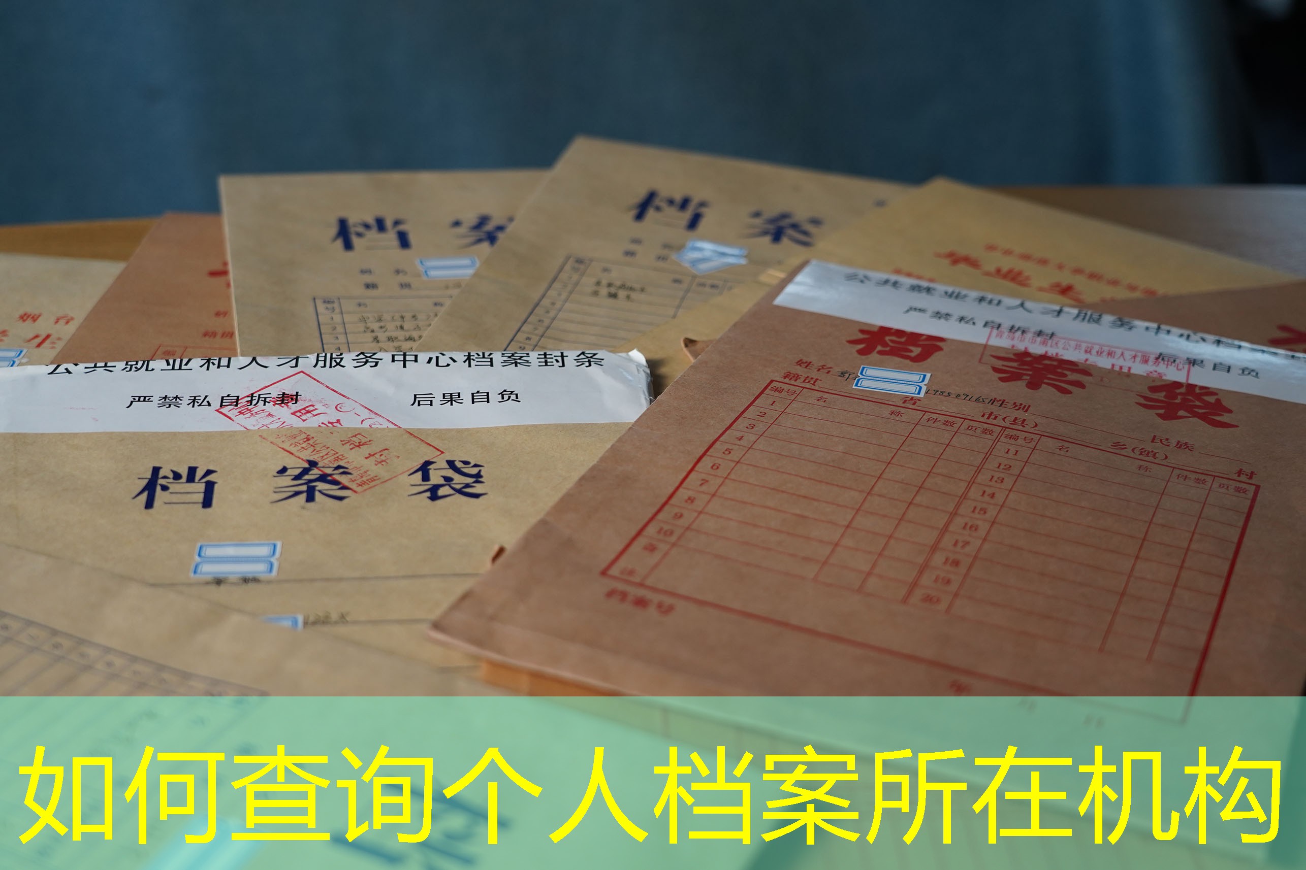 档案查询