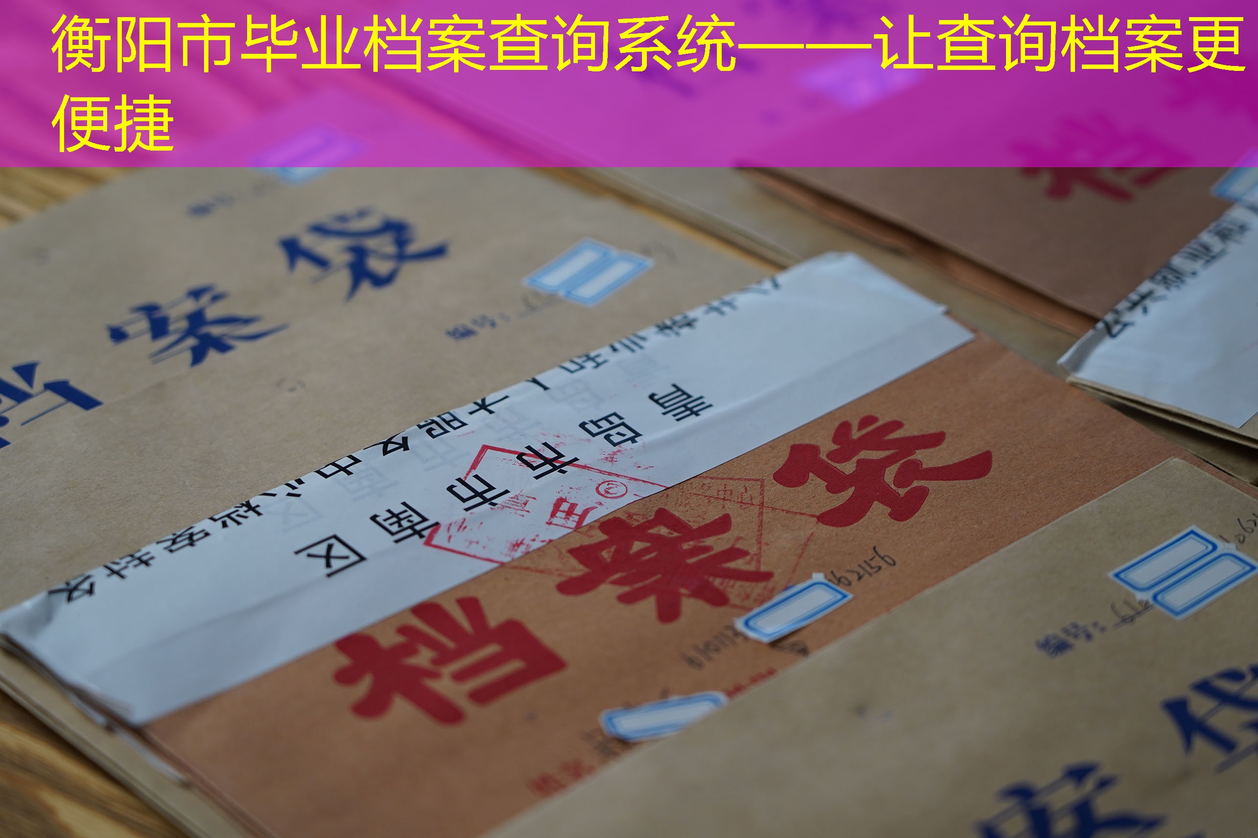 档案查询