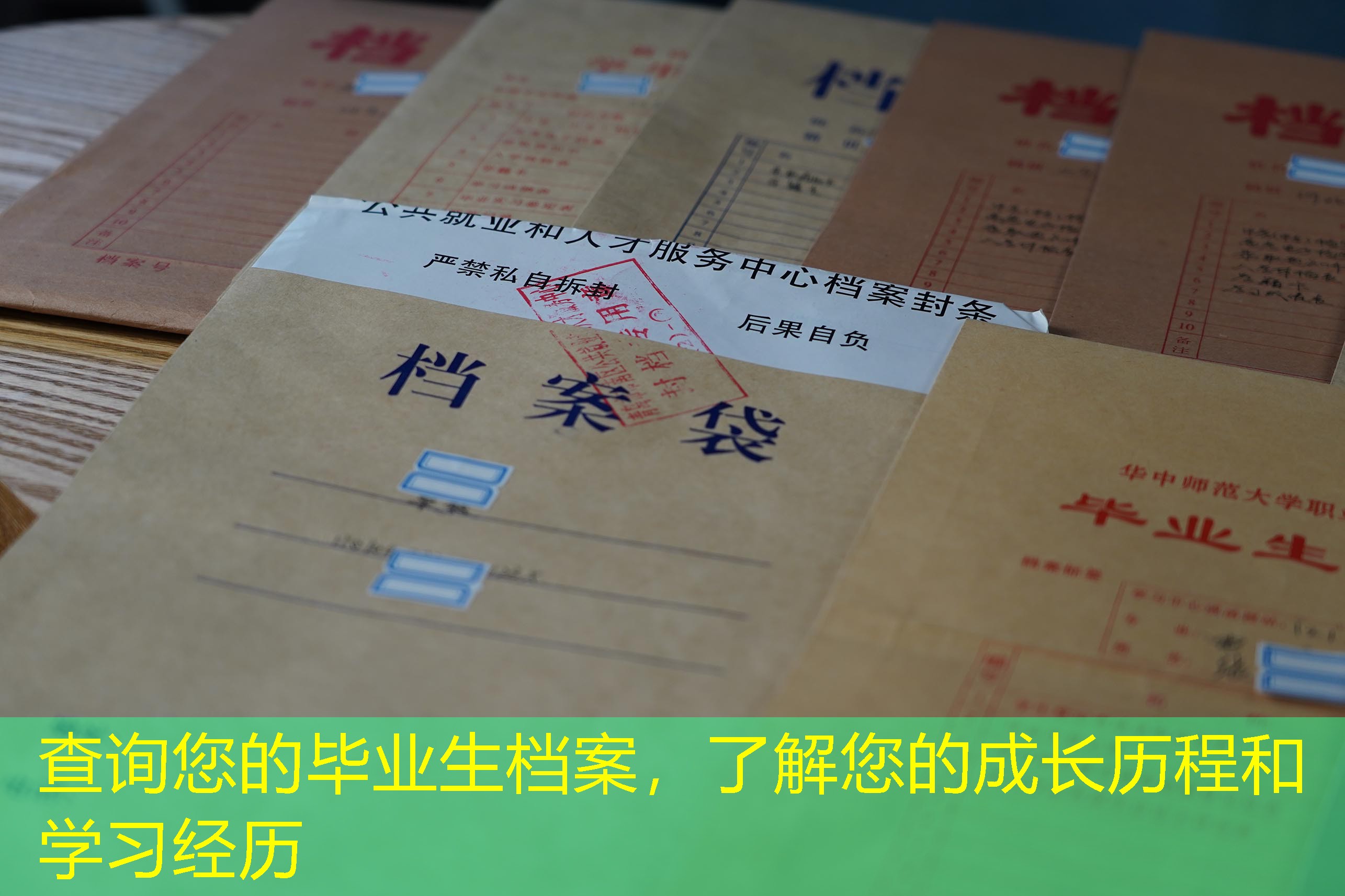 档案查询