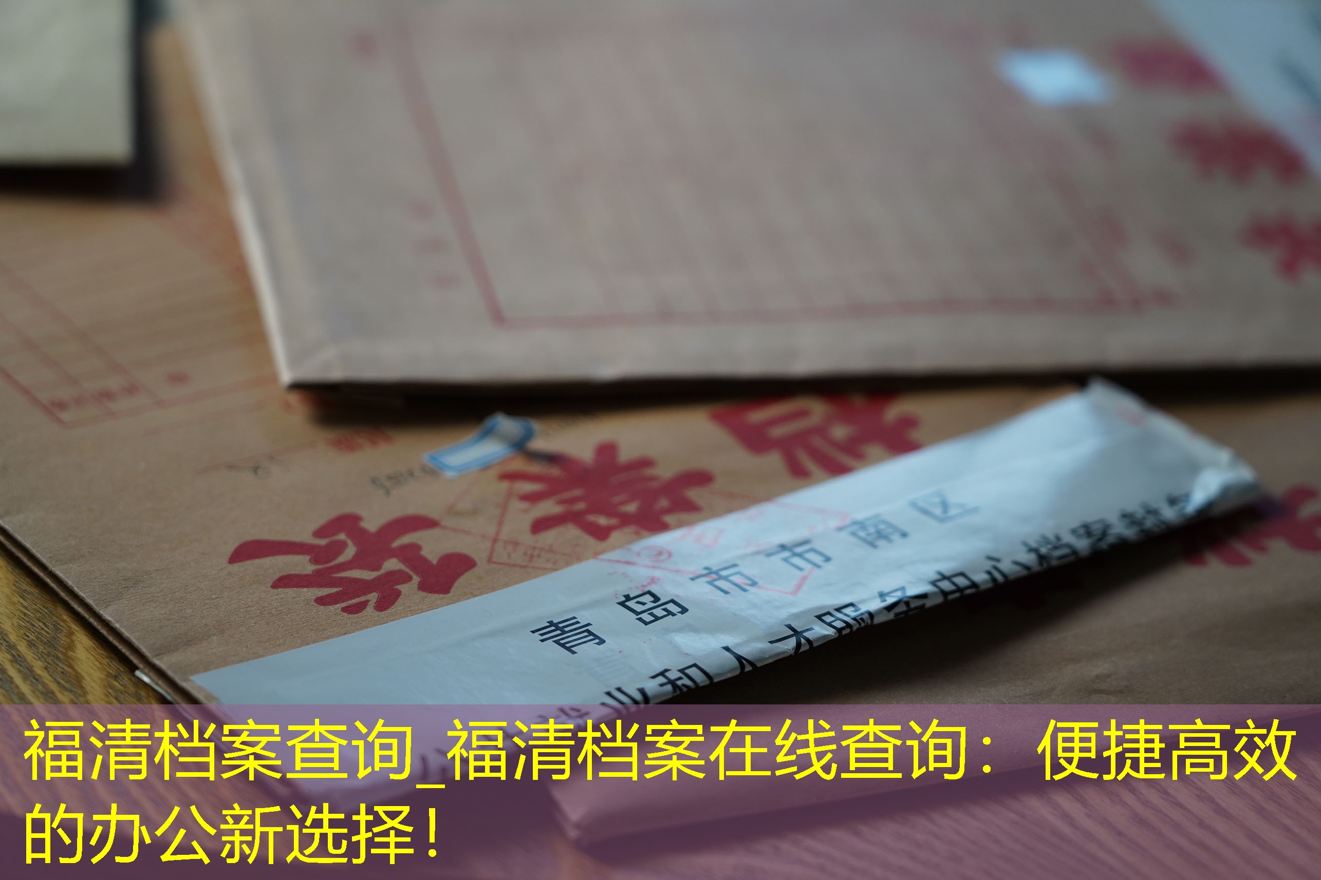 档案查询