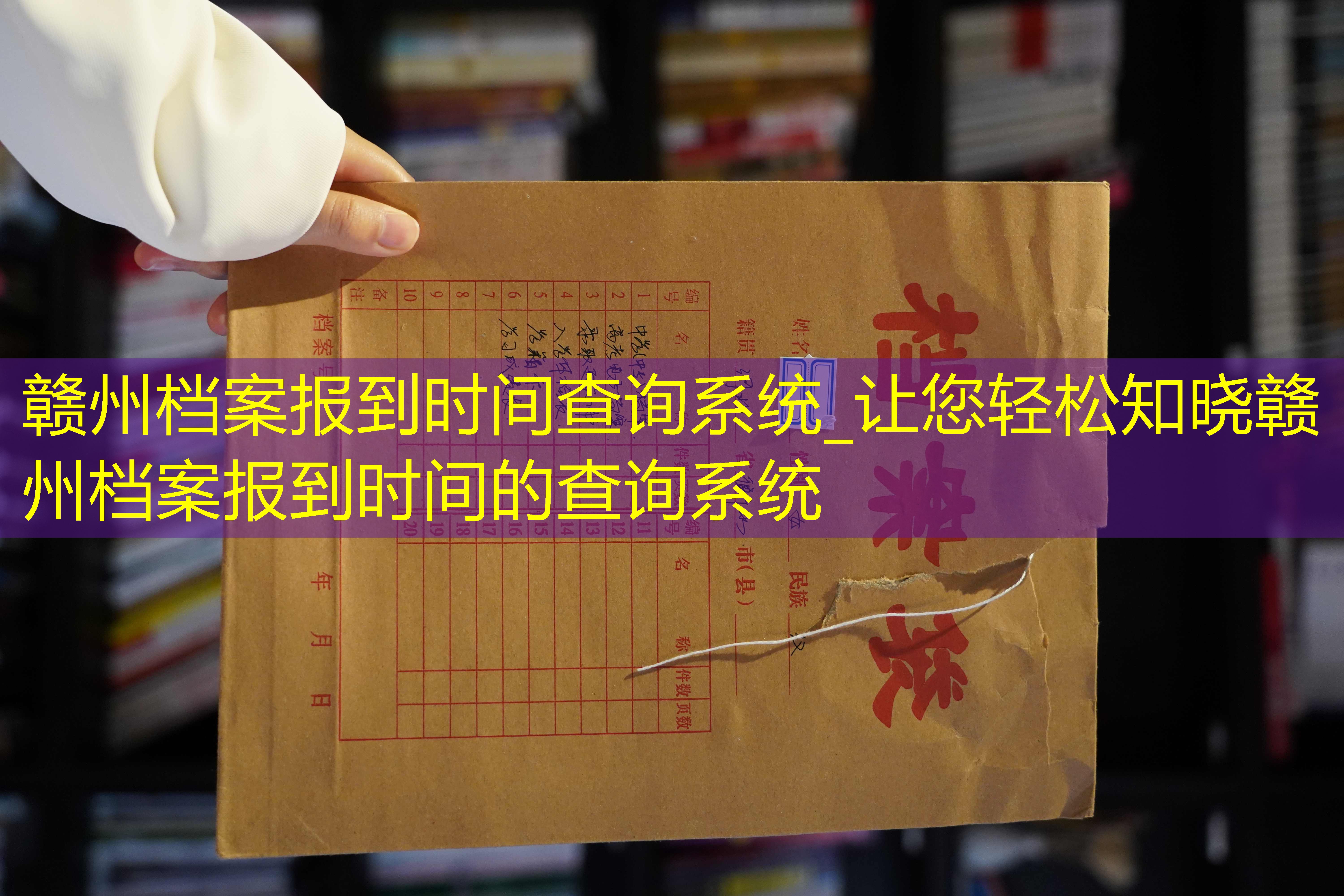 档案查询