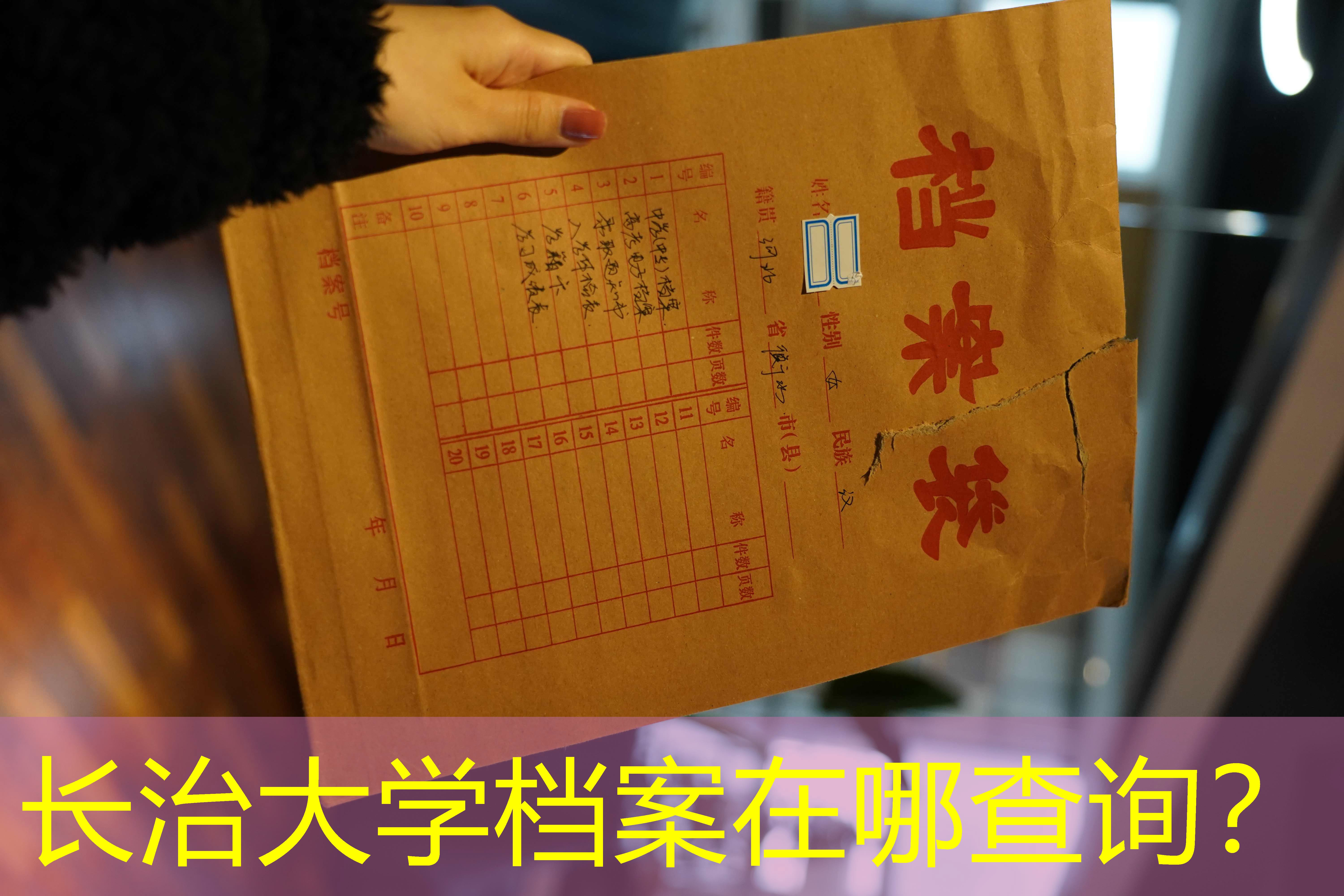 档案查询