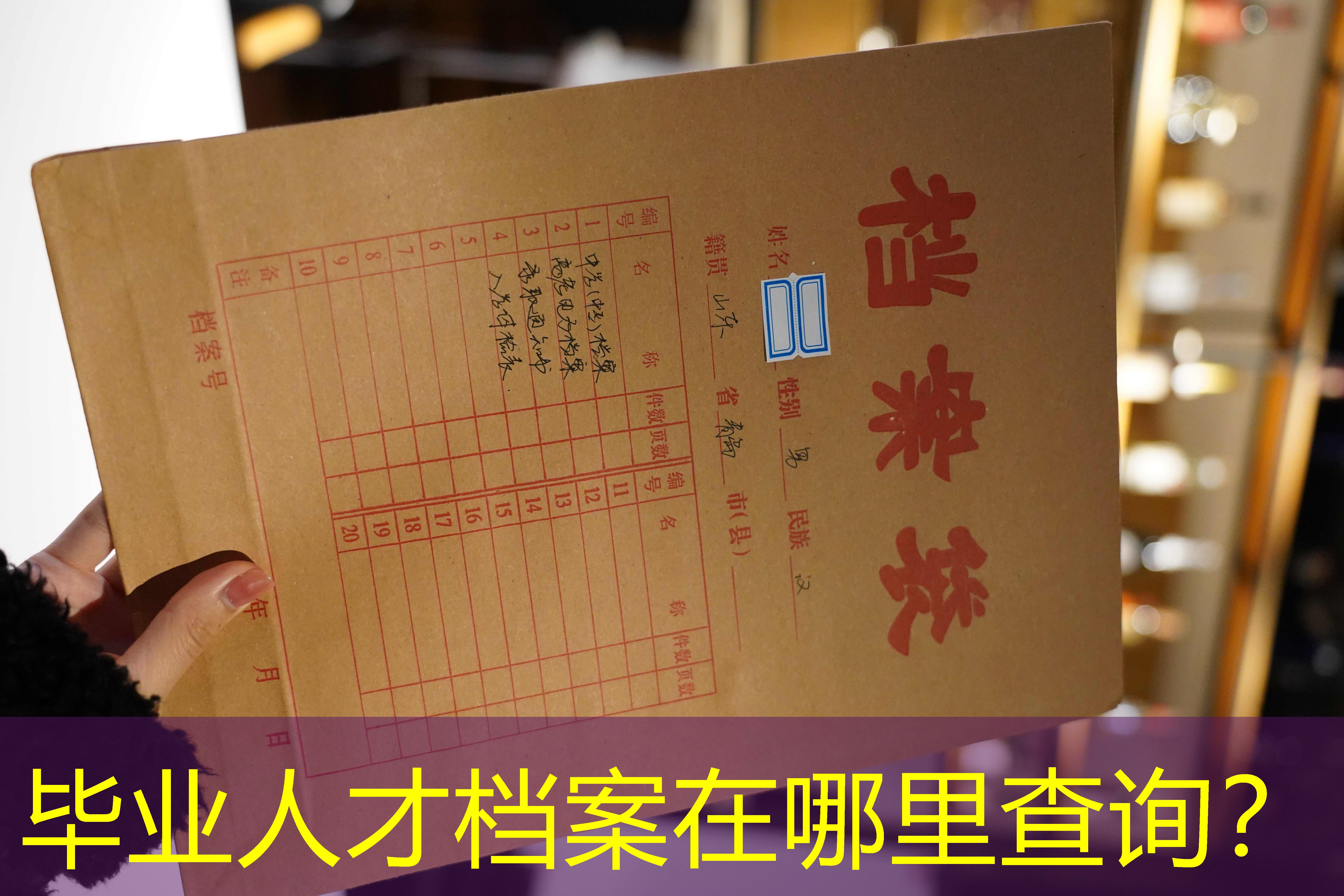档案查询