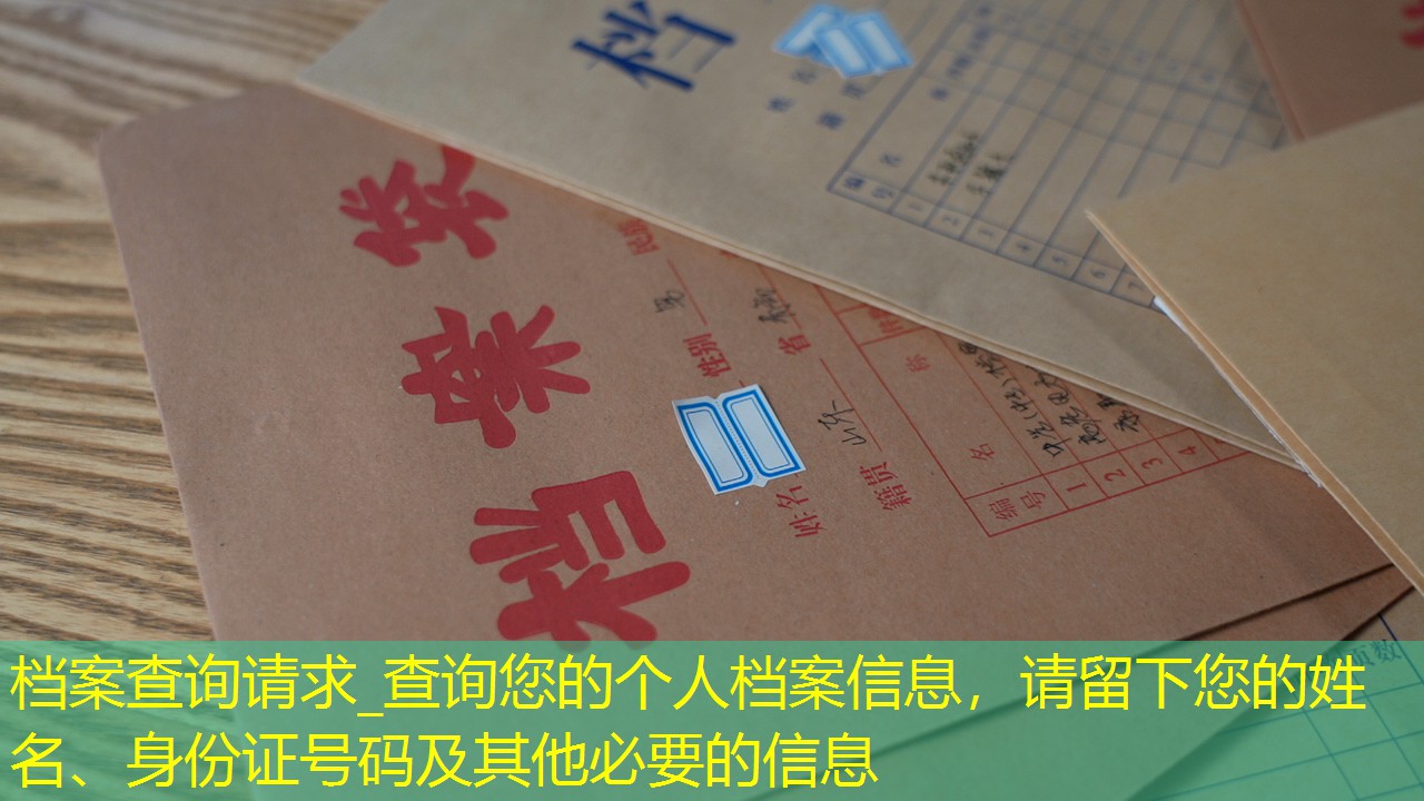 档案查询