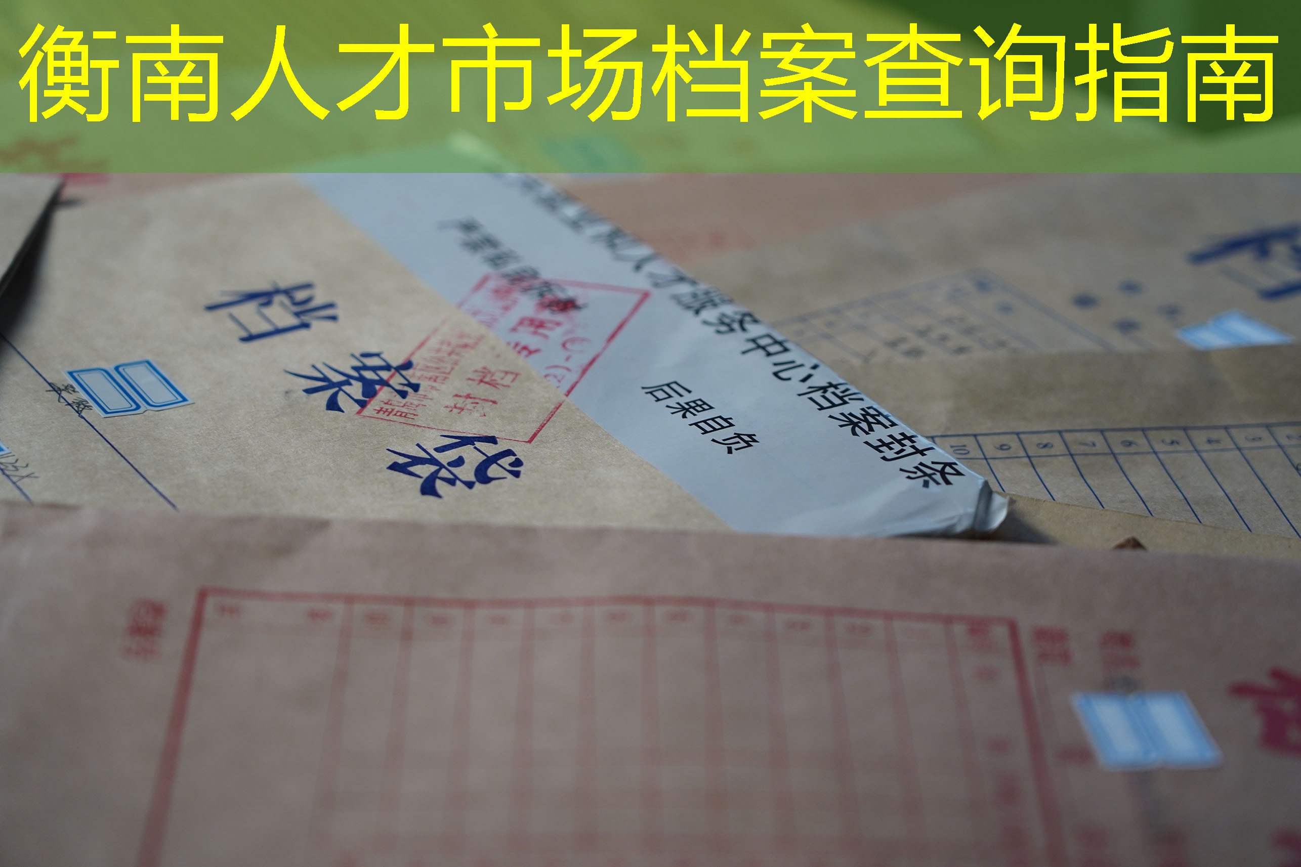 档案查询