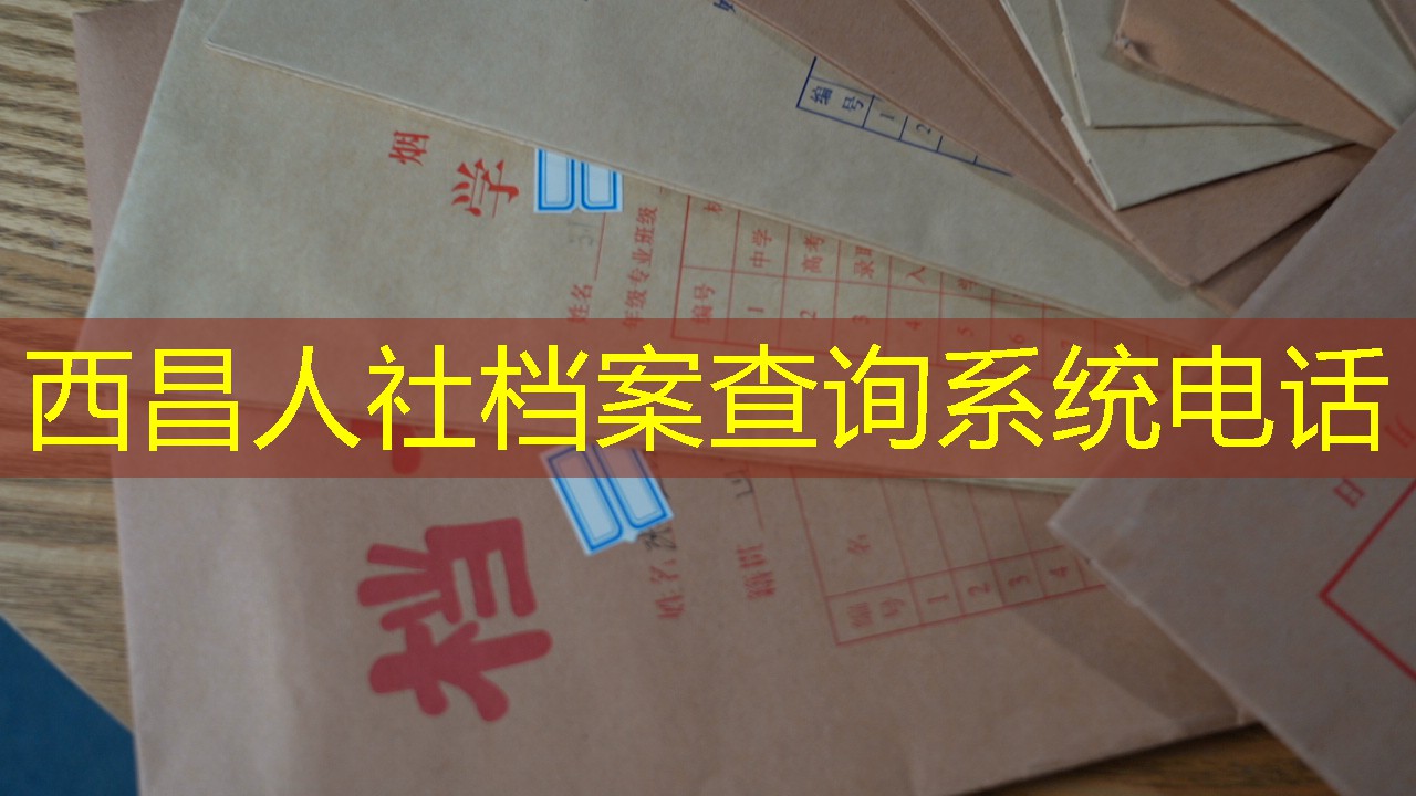 档案查询