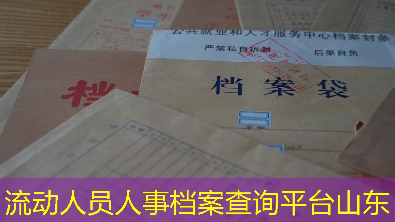 档案查询