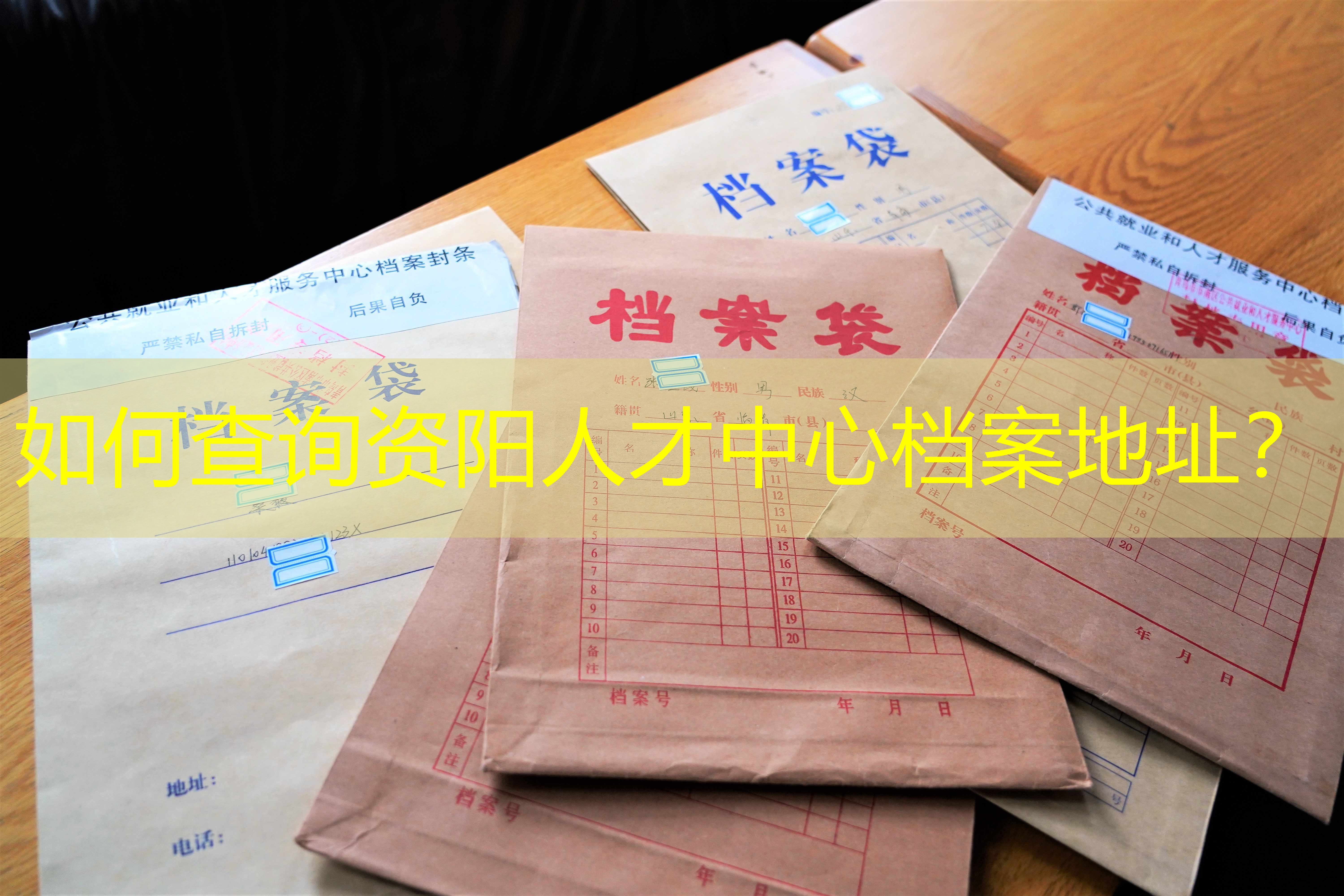 档案查询