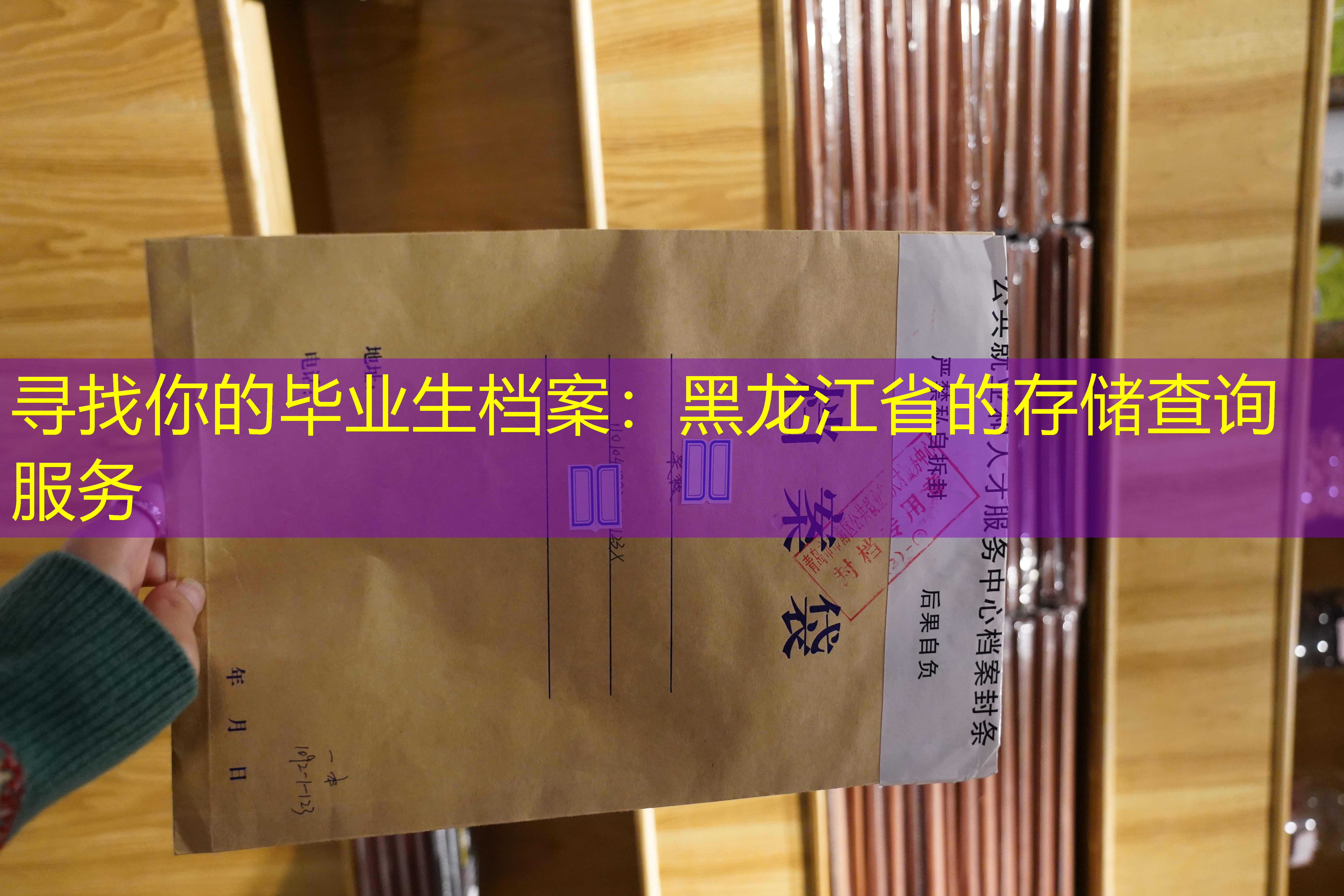 档案查询