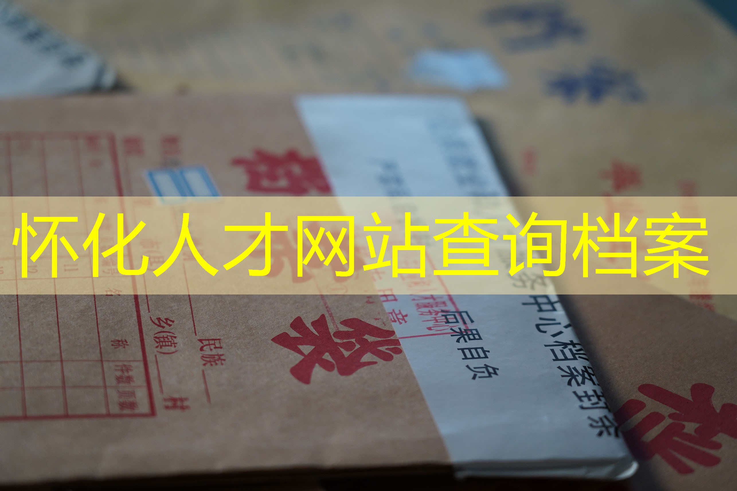 档案查询