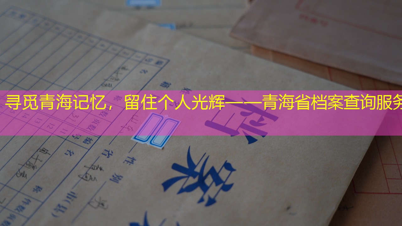 档案查询