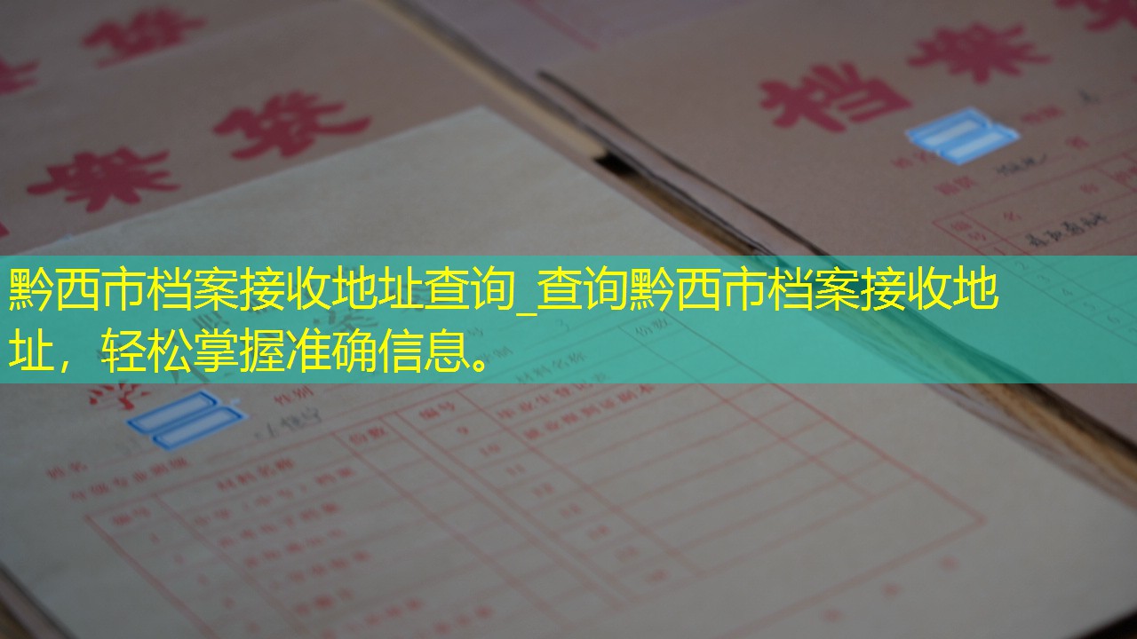 档案查询