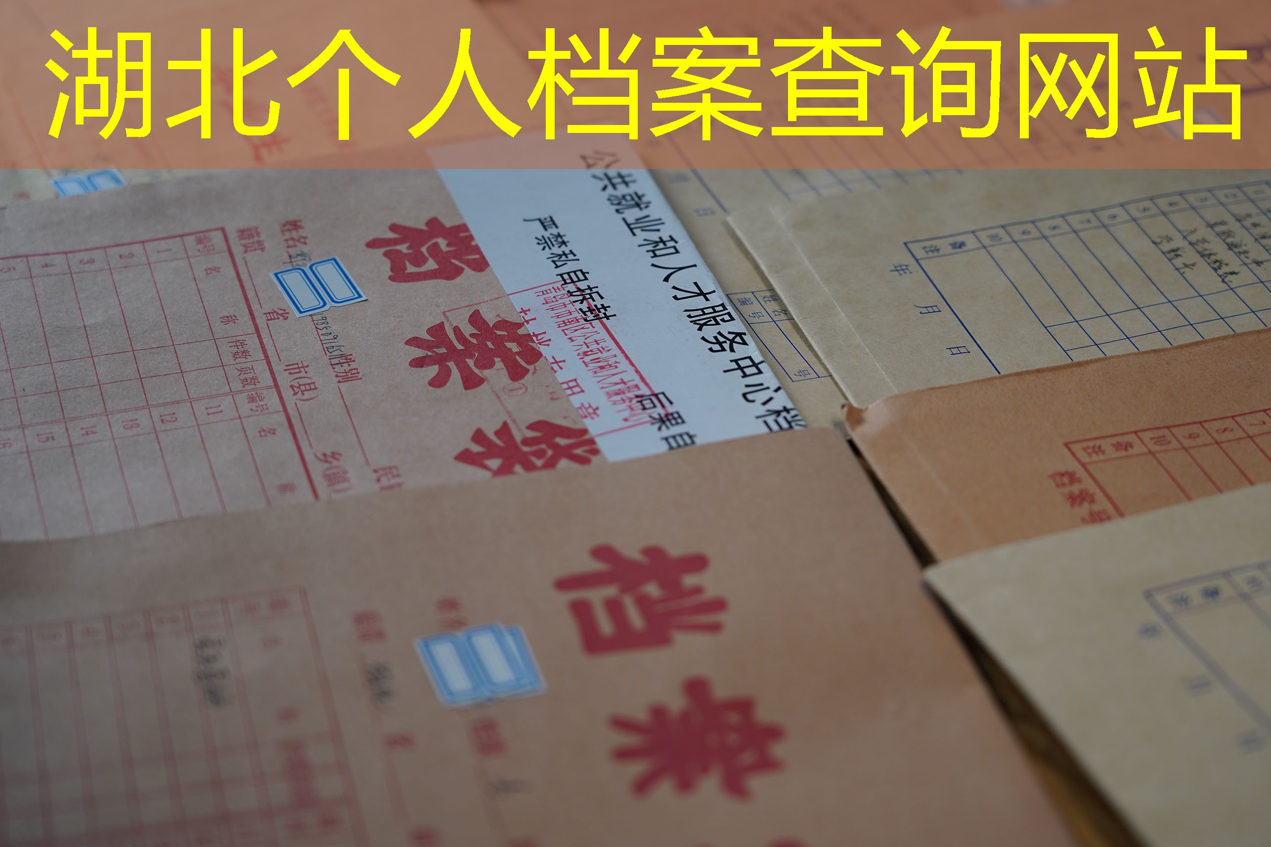 档案查询