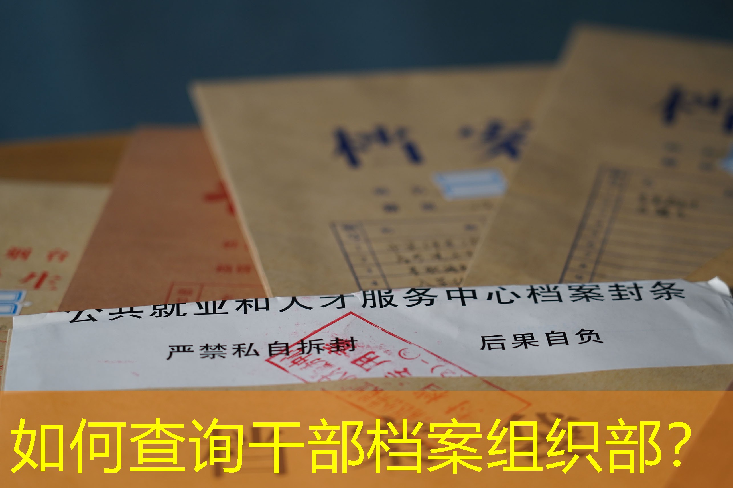 档案查询