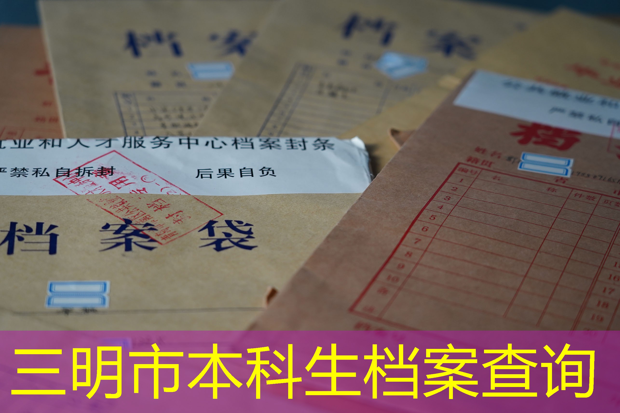 档案查询