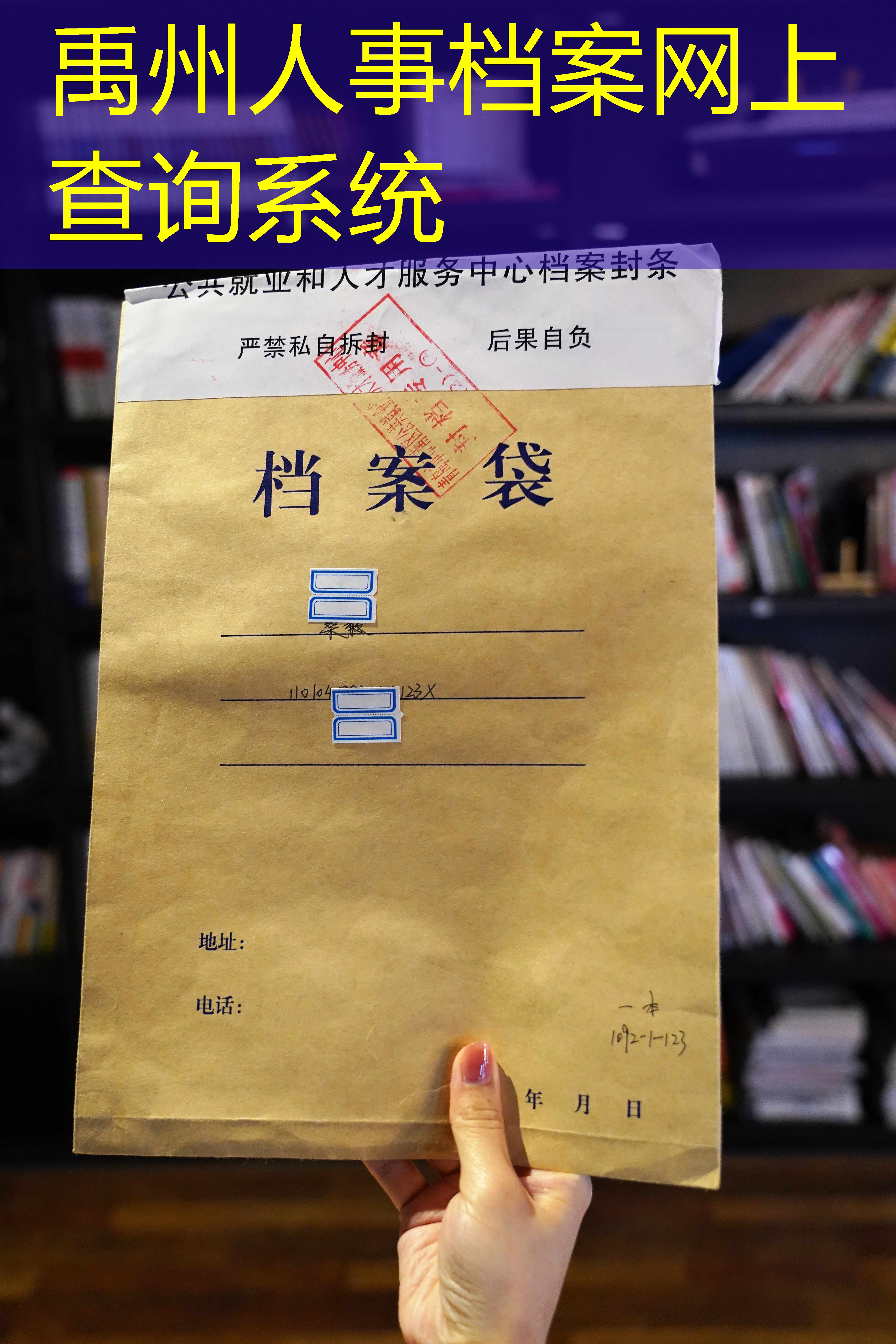档案查询