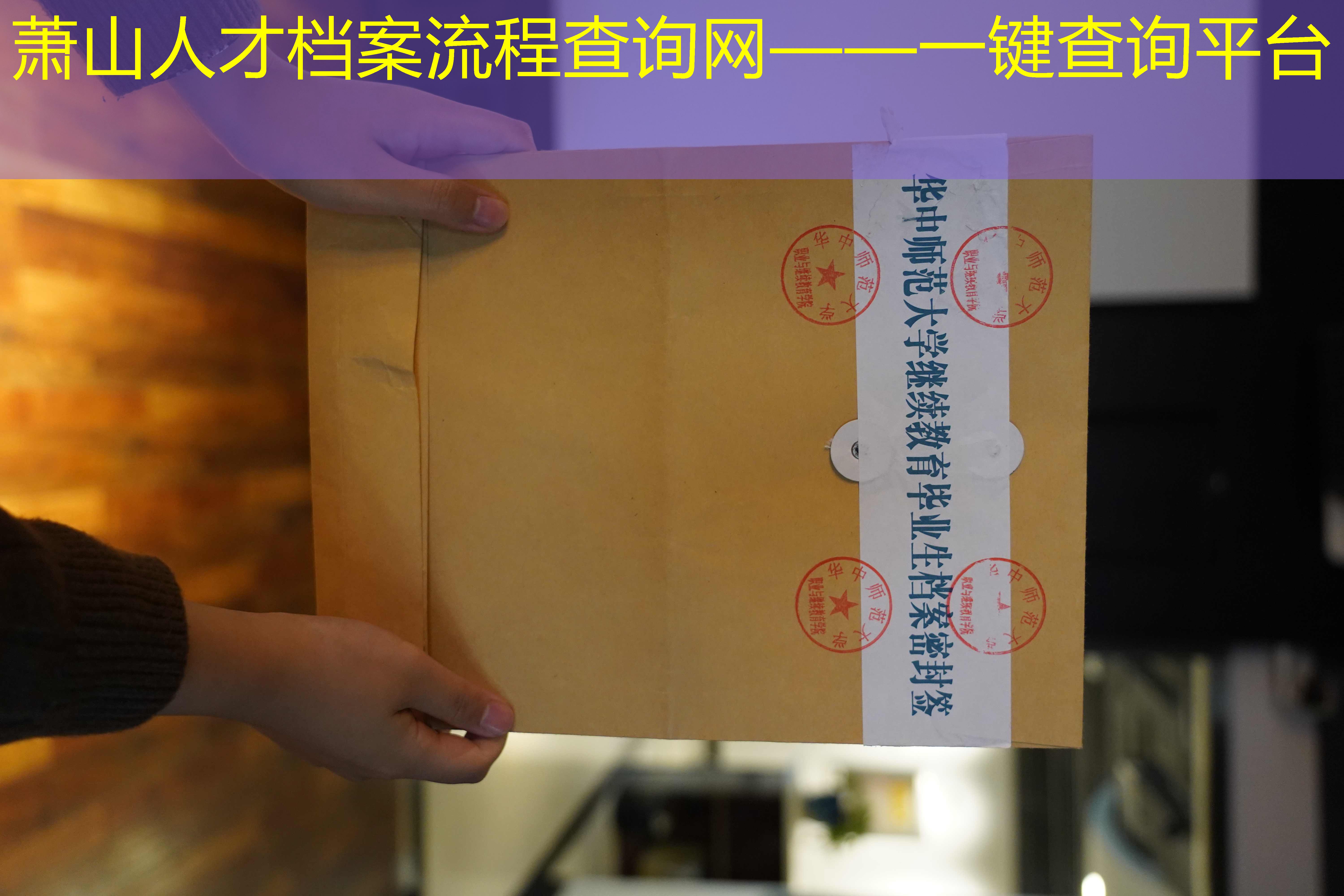 档案查询
