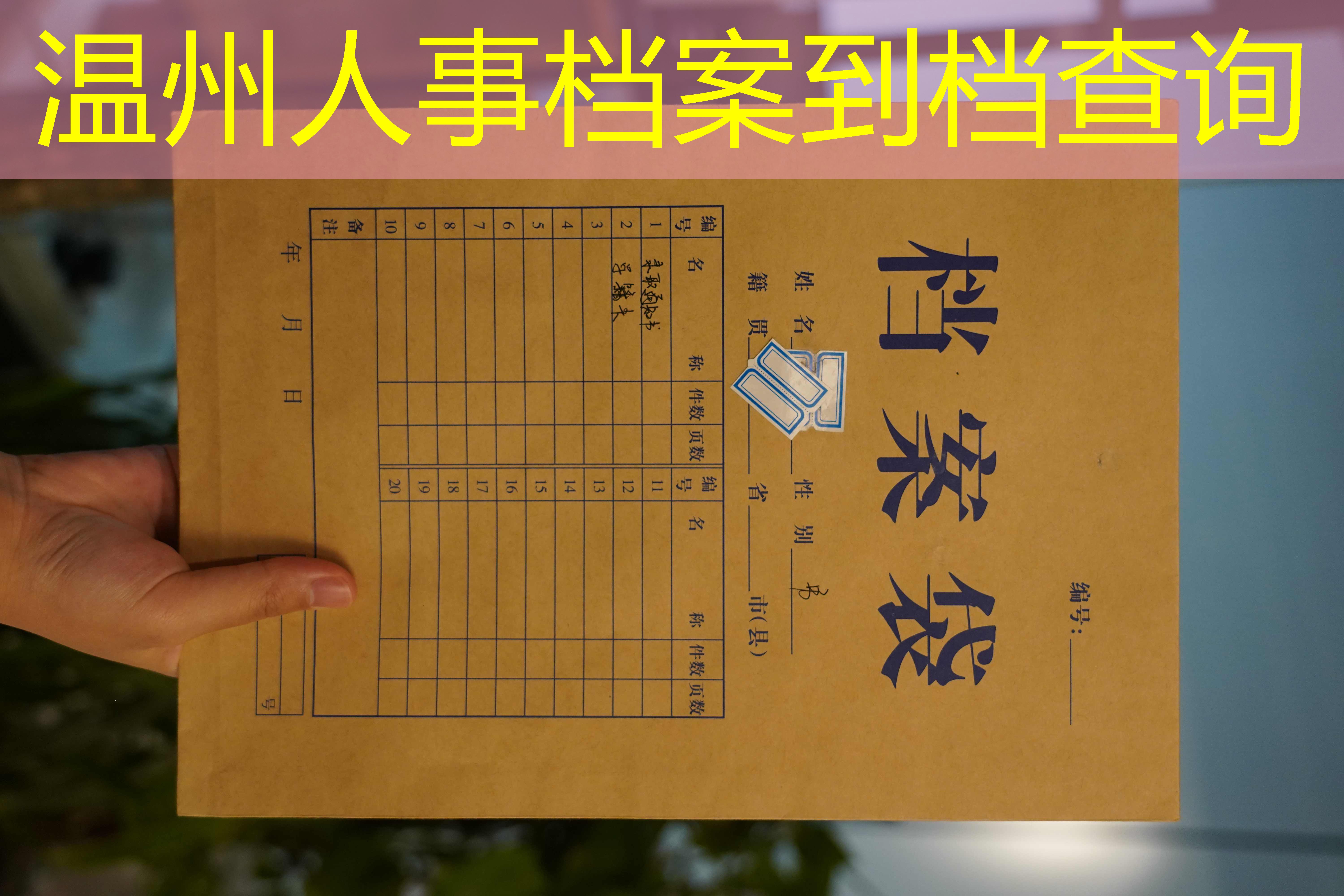 档案查询