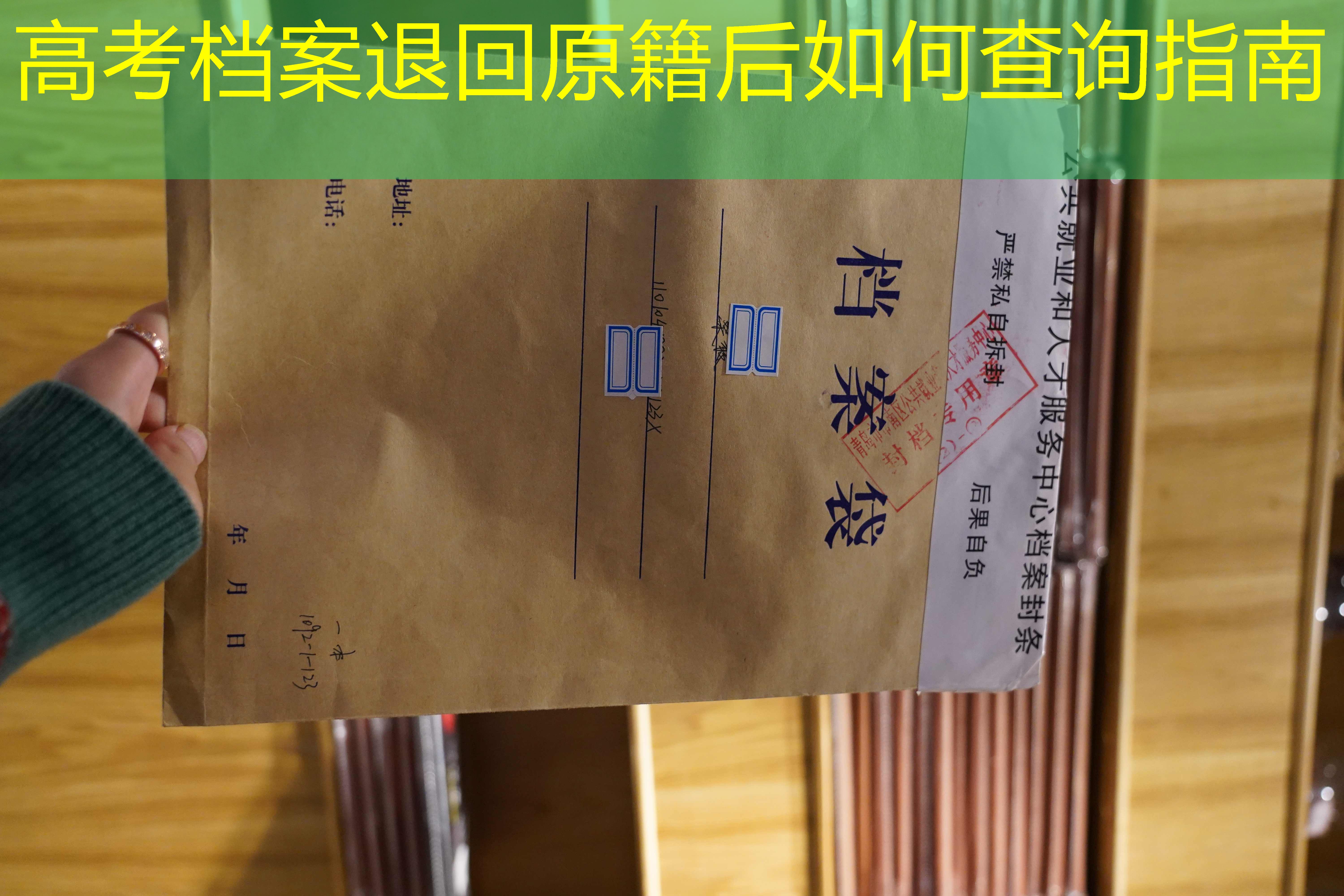 档案查询