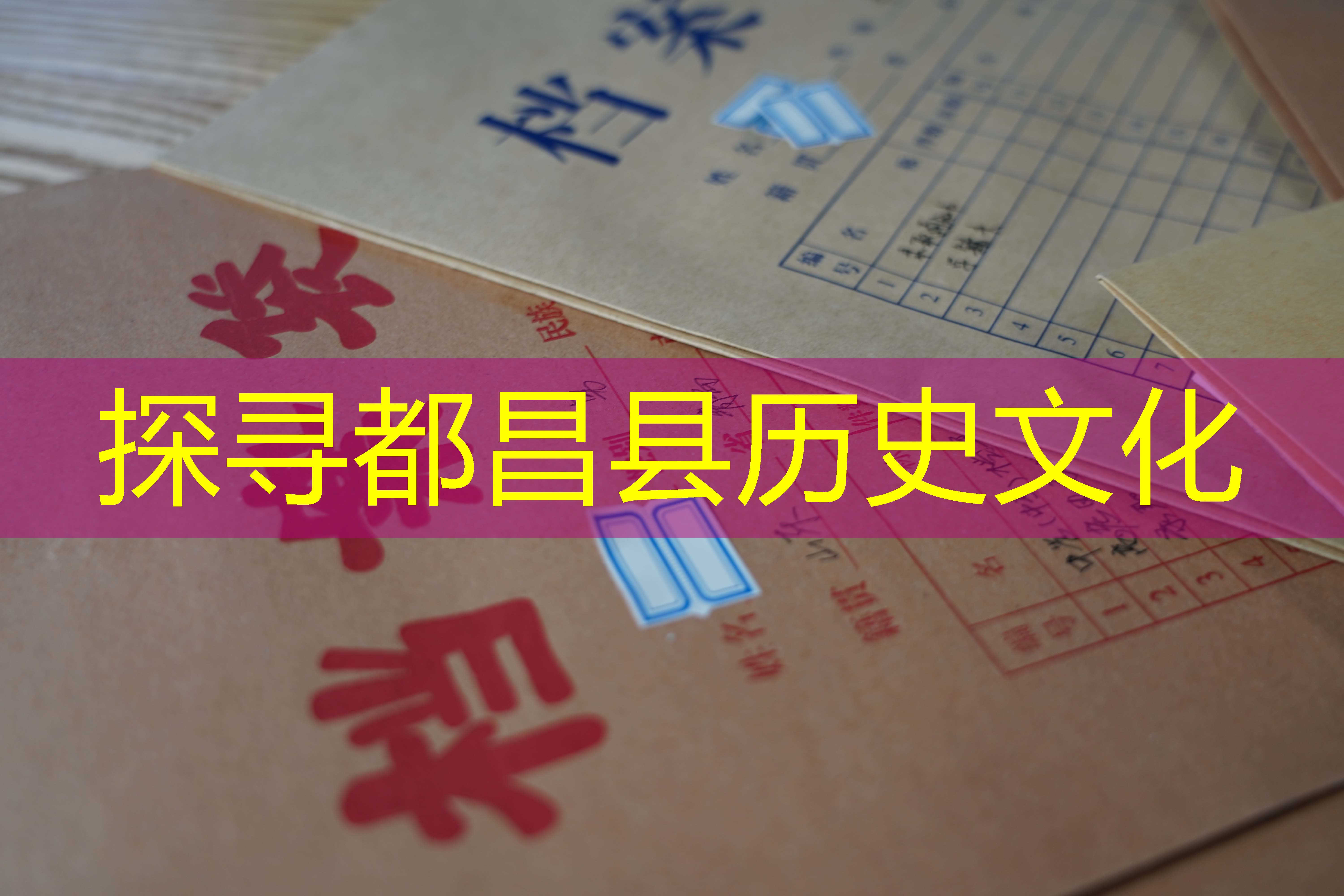 档案查询