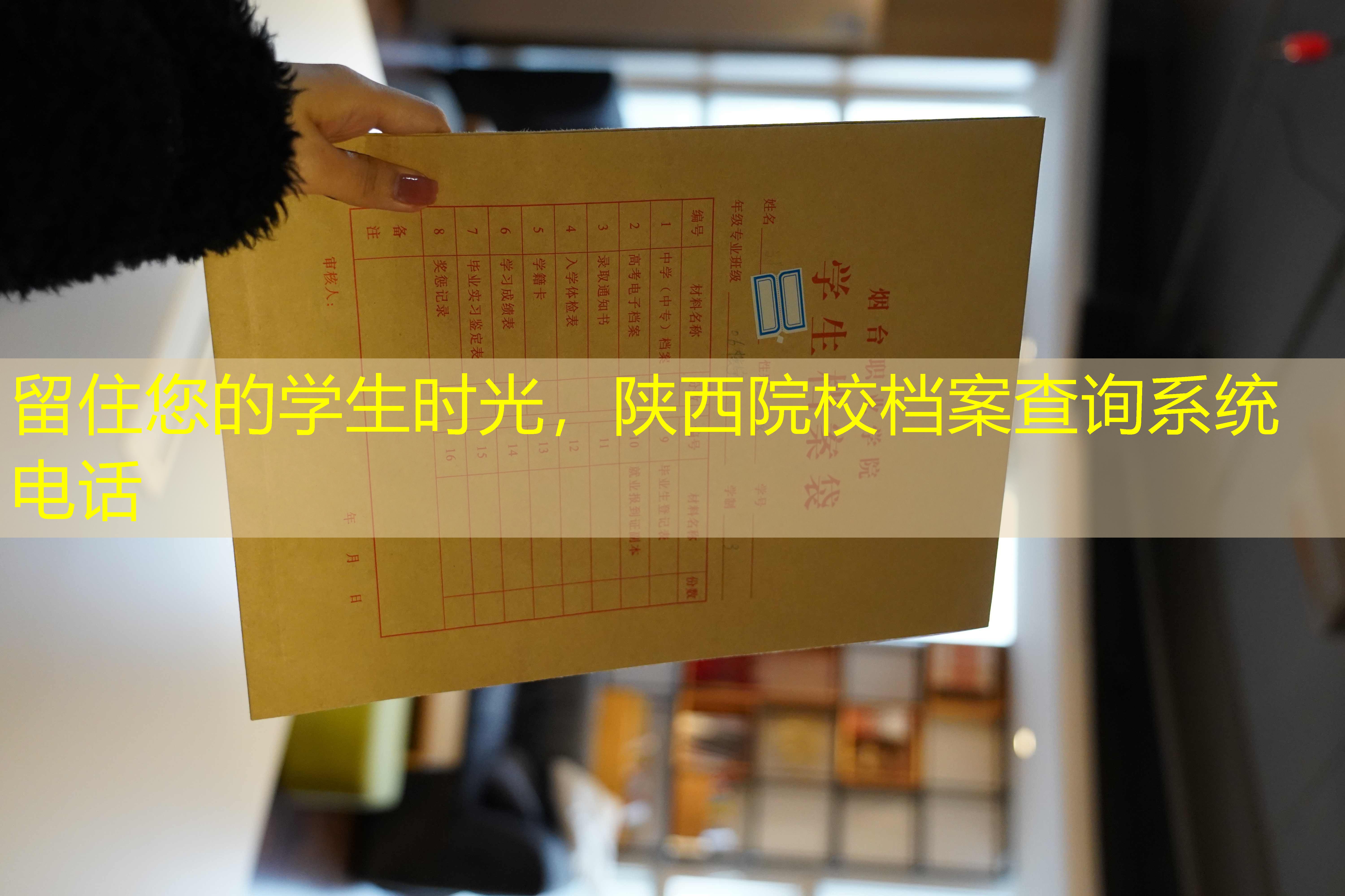 档案查询