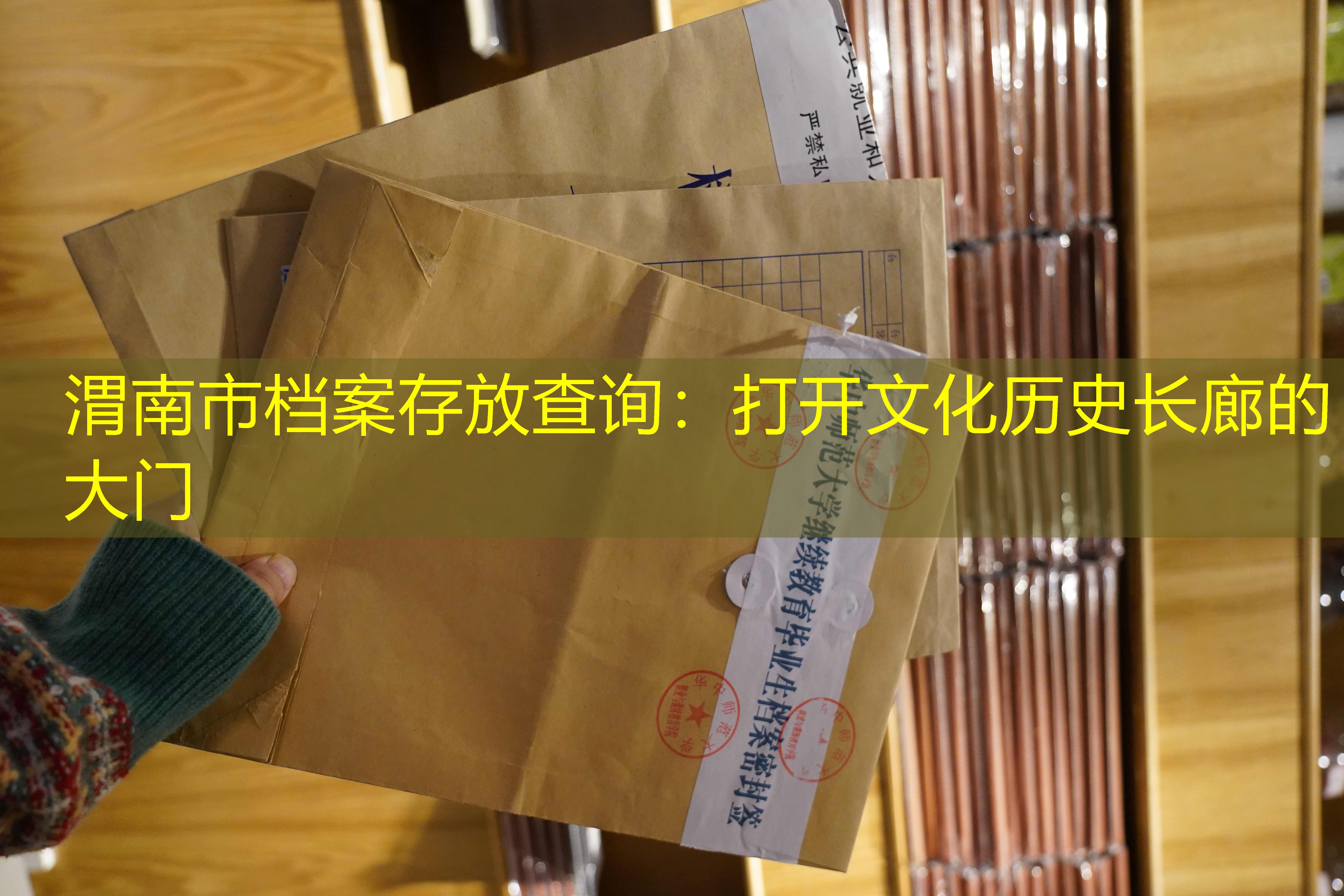 档案查询